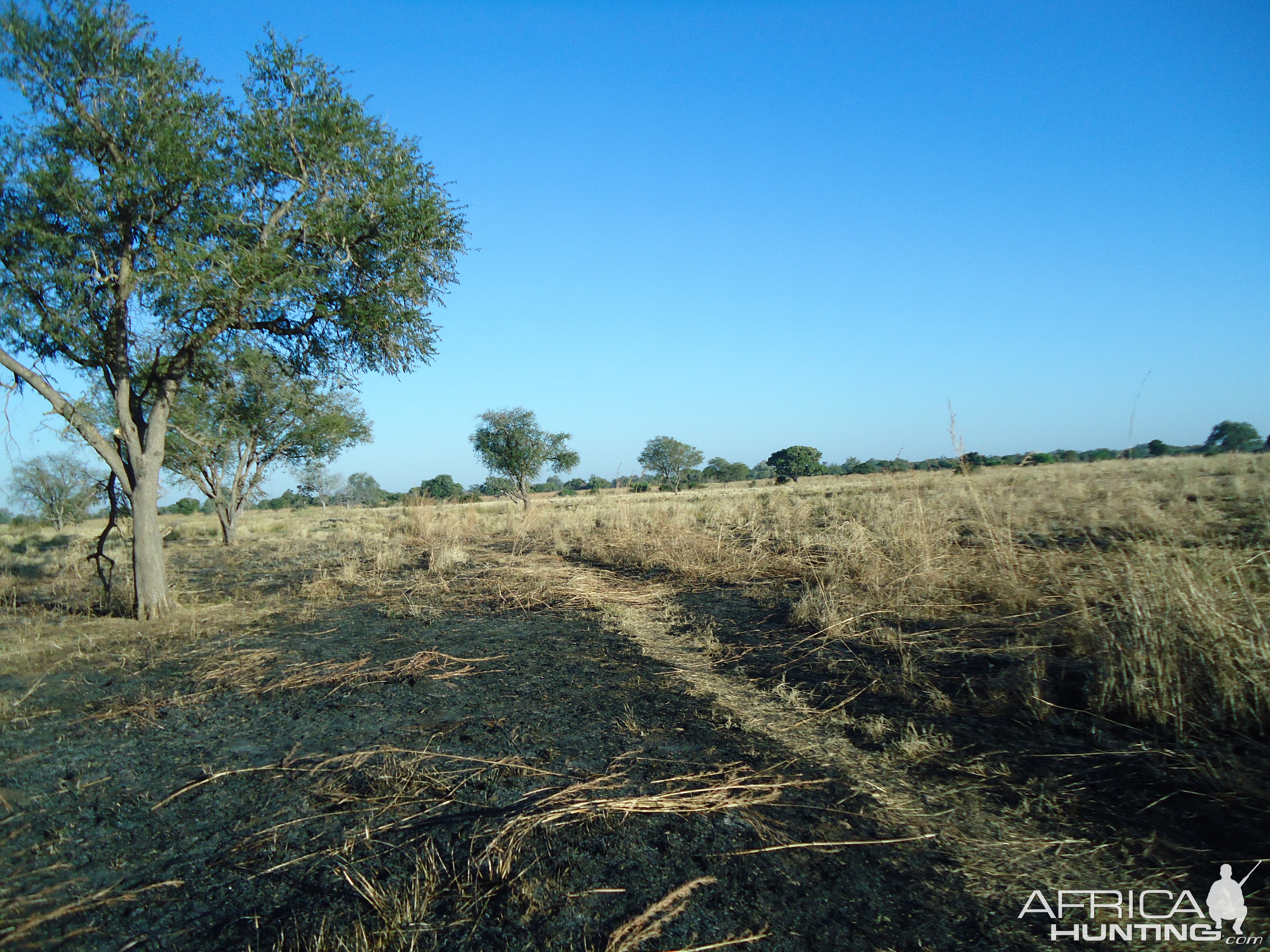 Hunting in Zambia