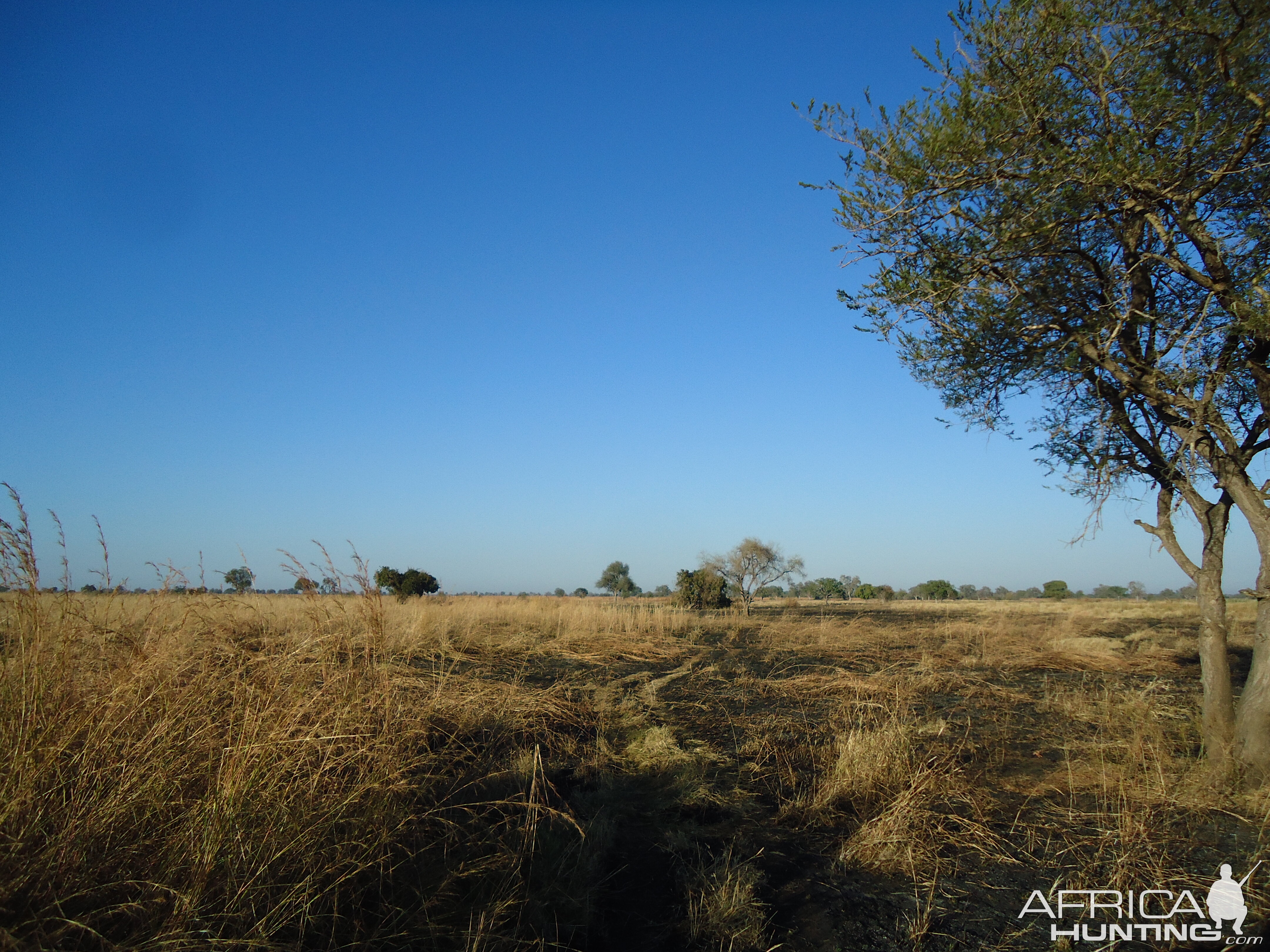 Hunting in Zambia