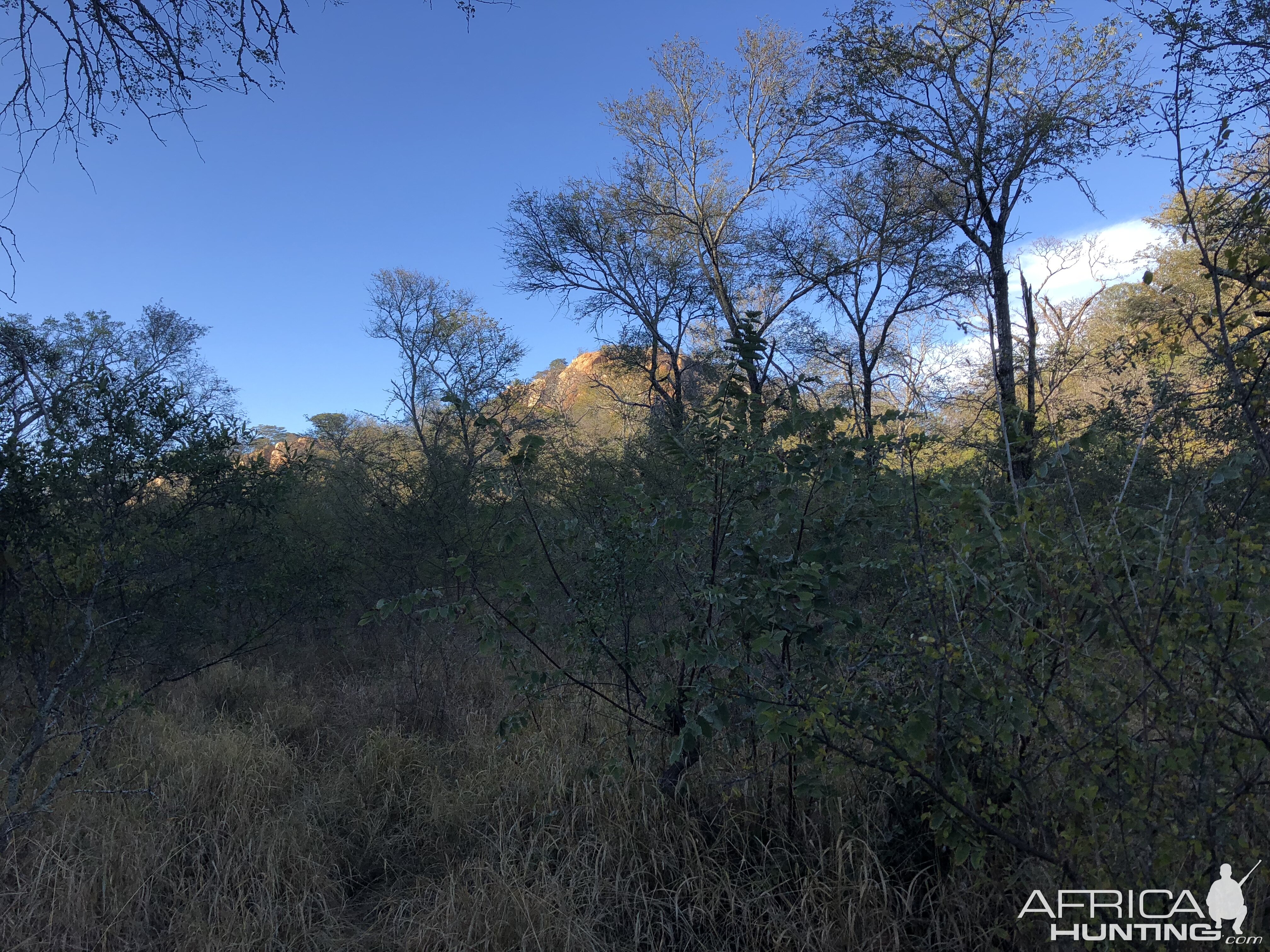 Hunting in Zimbabwe