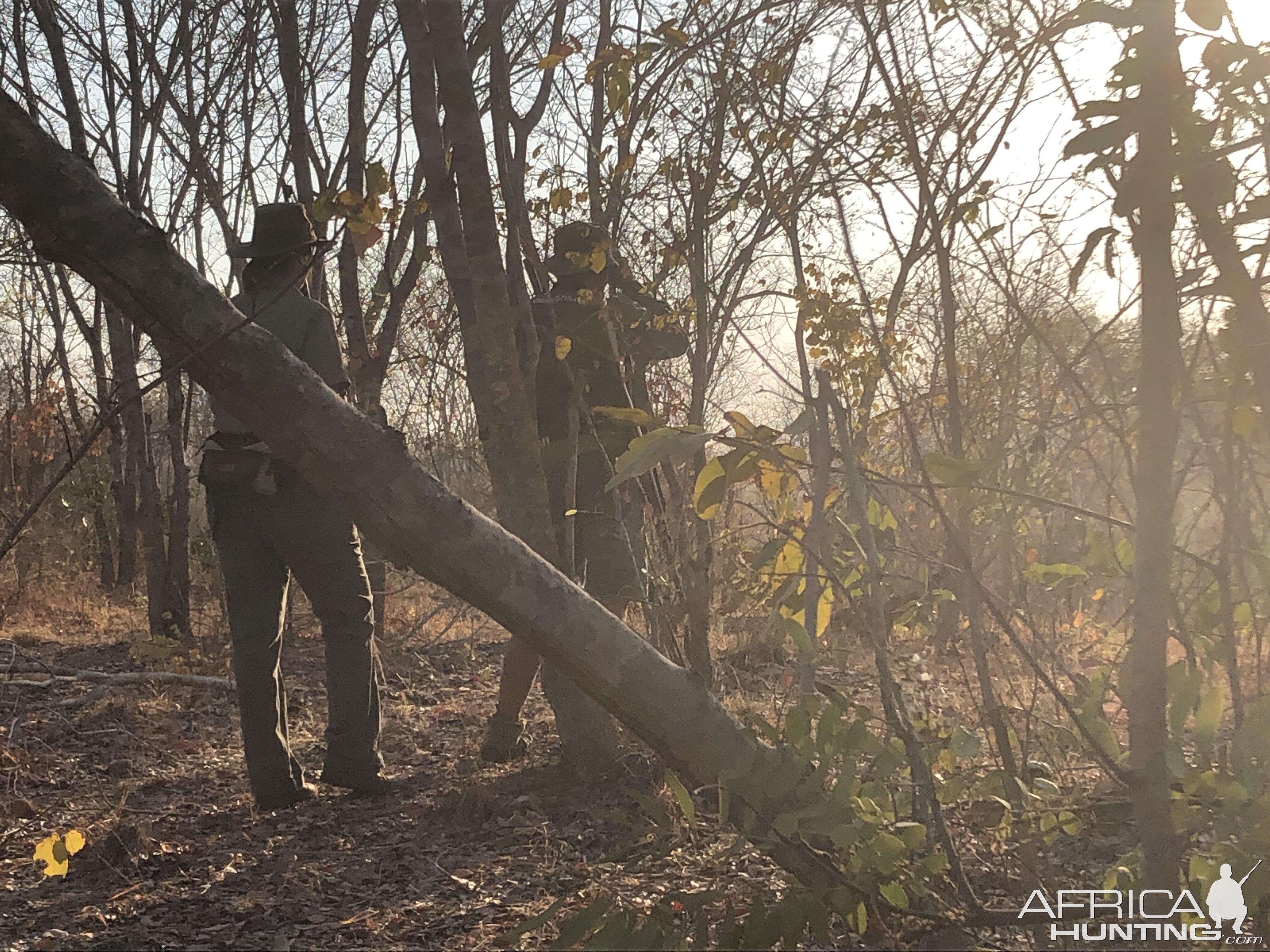 Hunting in Zimbabwe