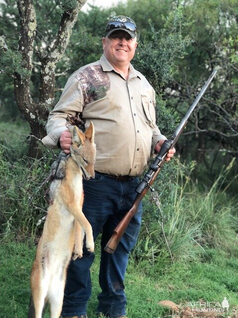 Hunting Jackal South Africa