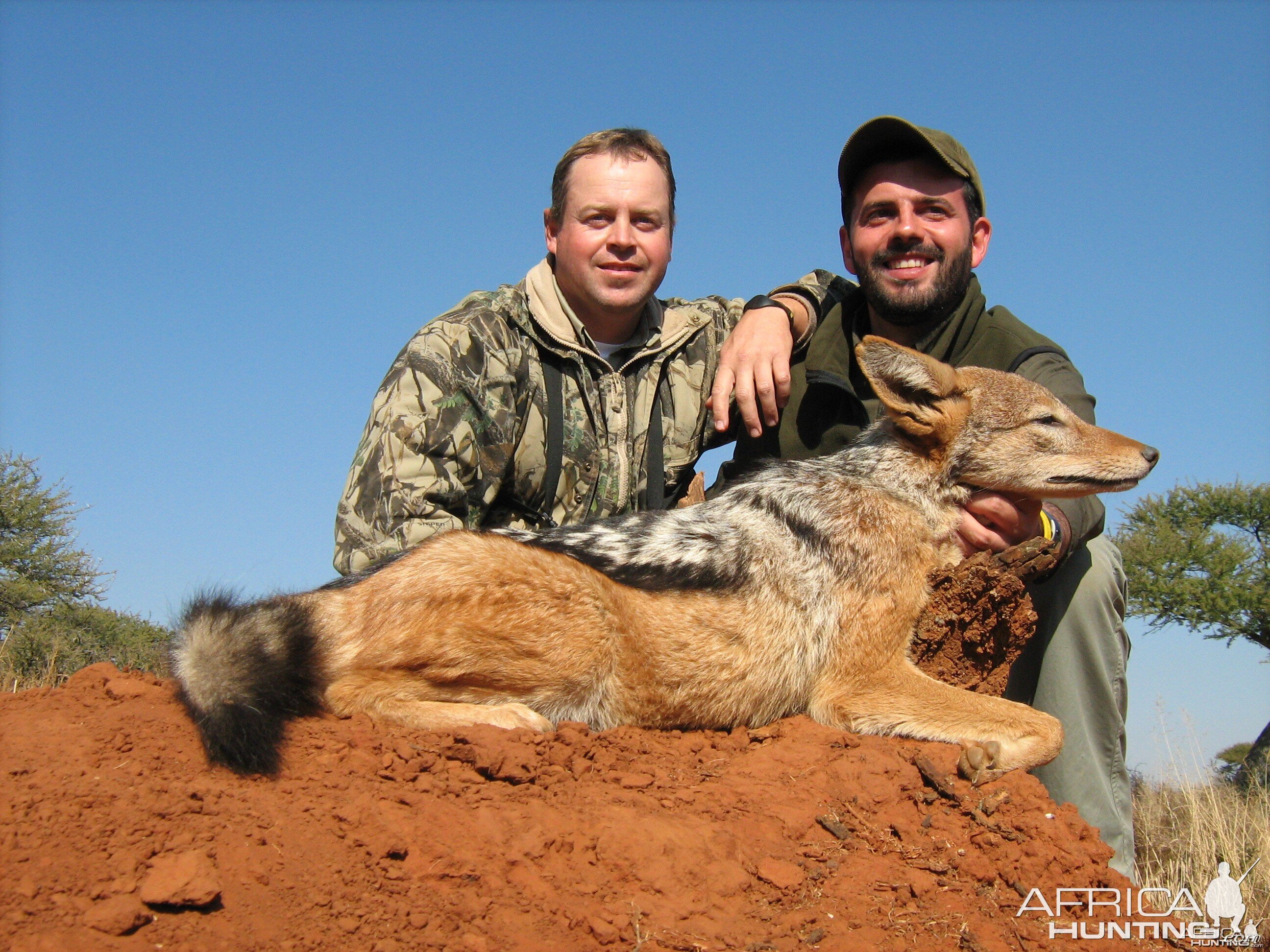 Hunting Jackal with Wintershoek Johnny Vivier Safaris in SA