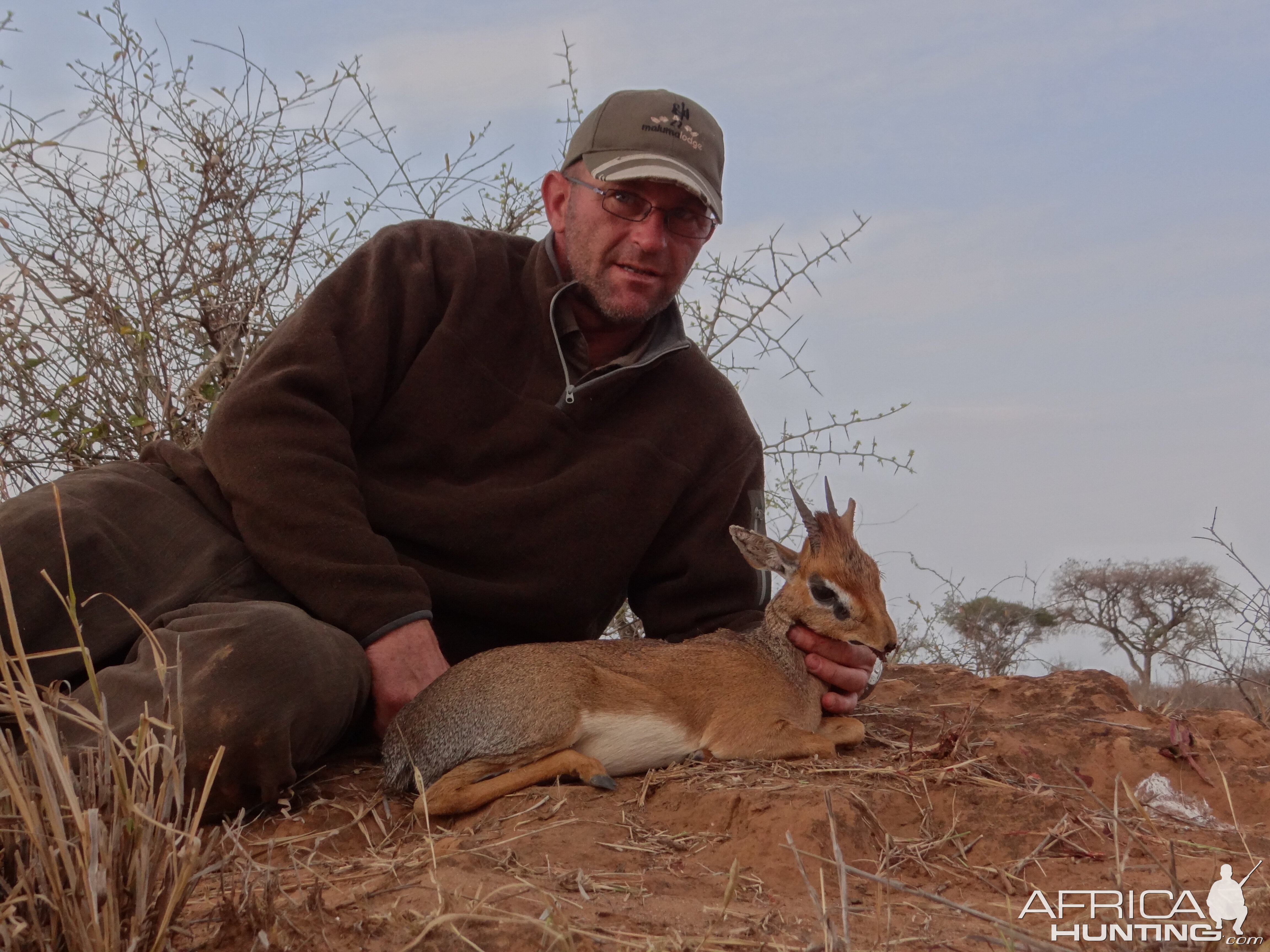 Hunting Kirk Dik-Dik