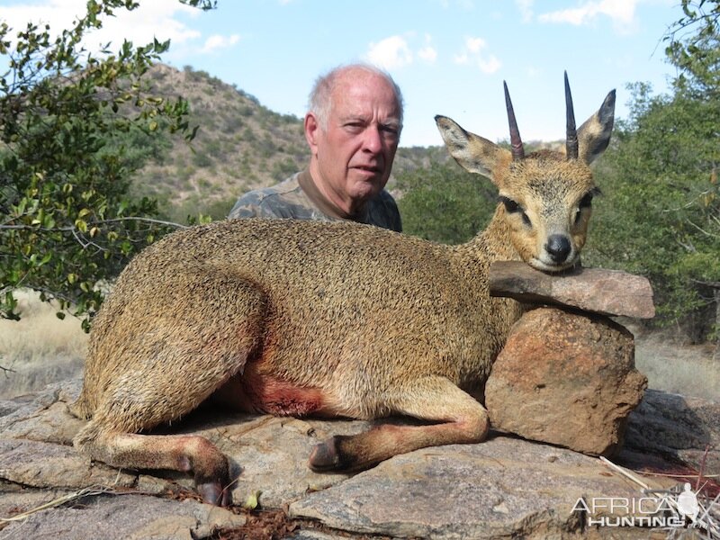 Hunting Klipspringer in Namibia