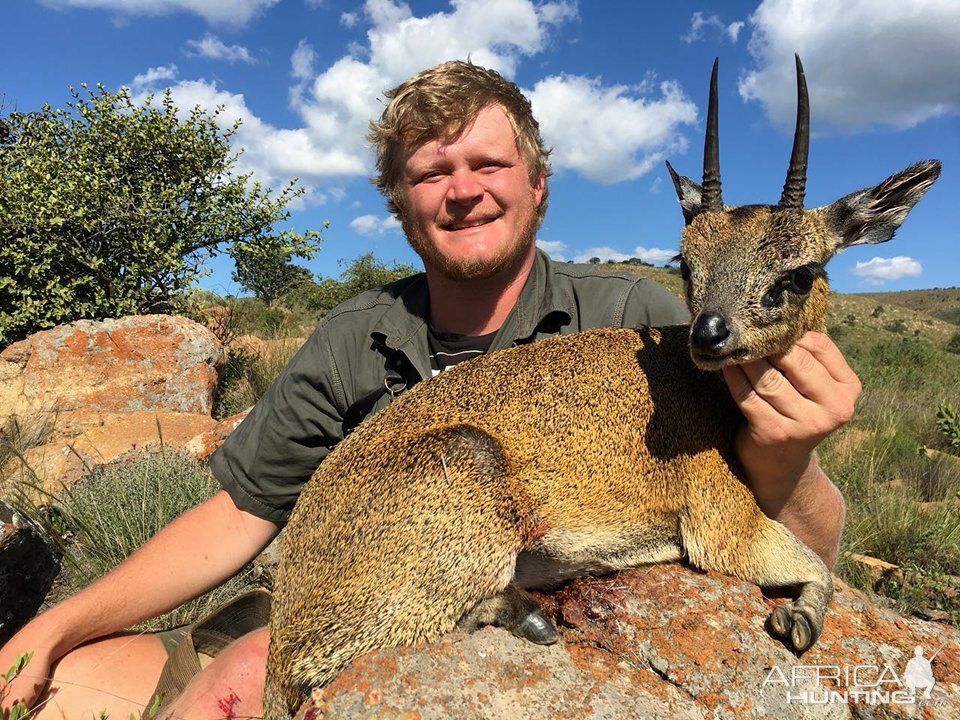 Hunting Klipspringer in South Africa