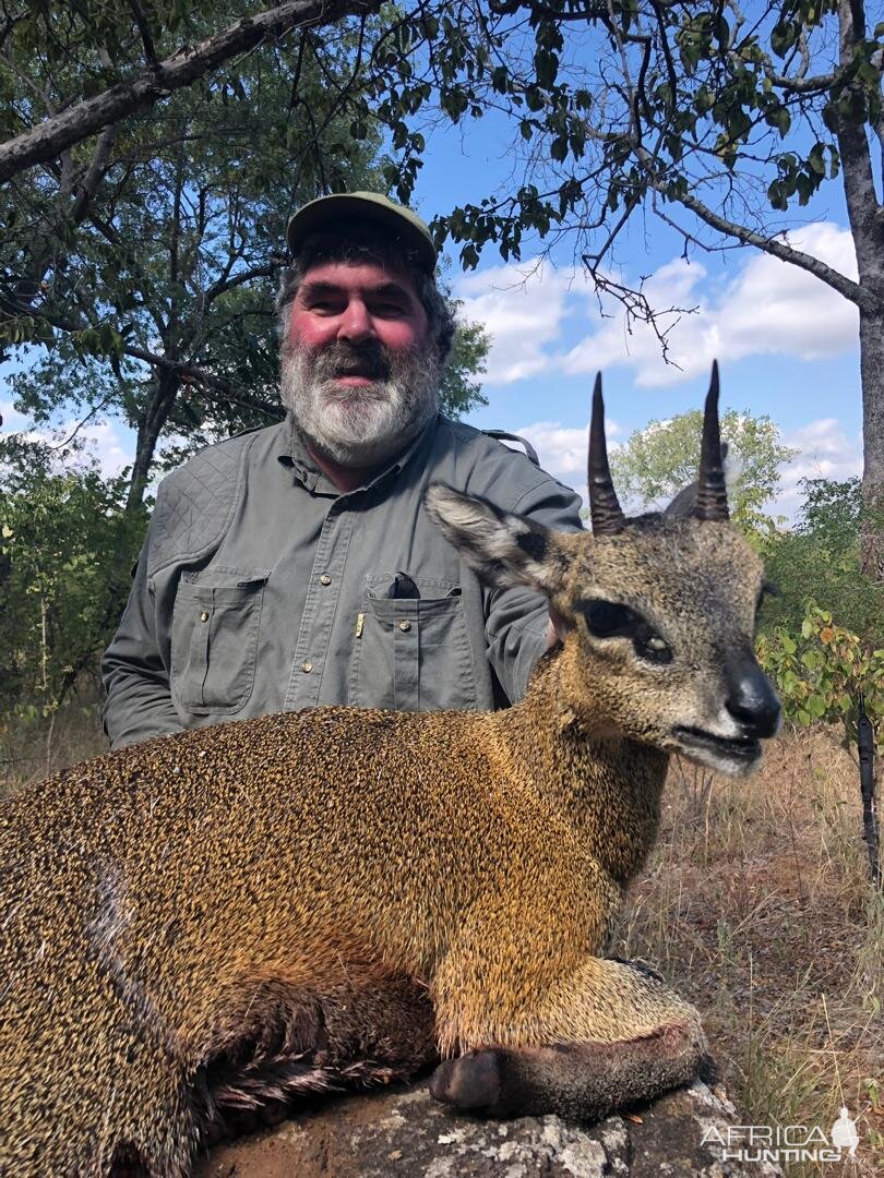 Hunting Klipspringer in Zimbabwe