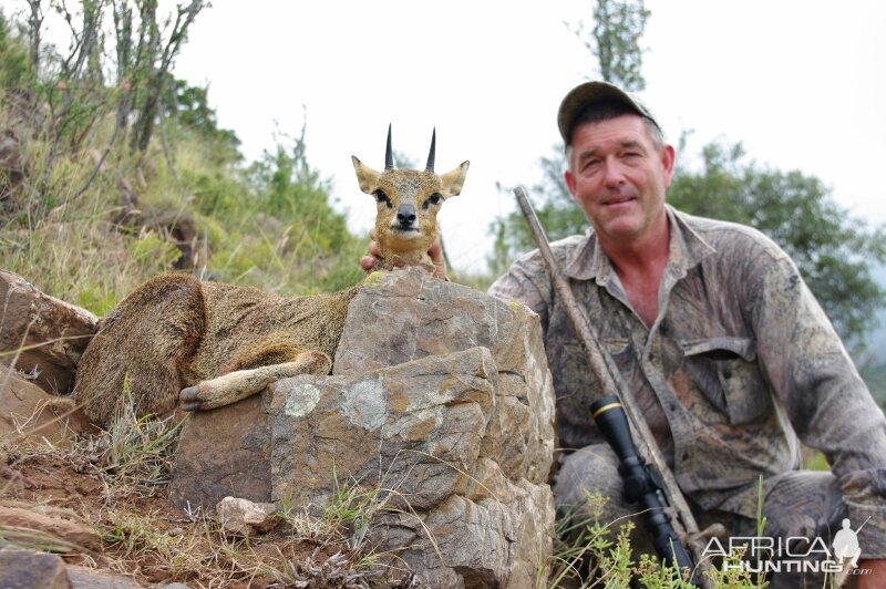 Hunting Klipspringer South Africa