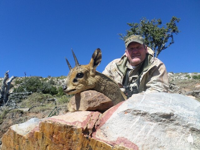 Hunting Klipspringer South Africa