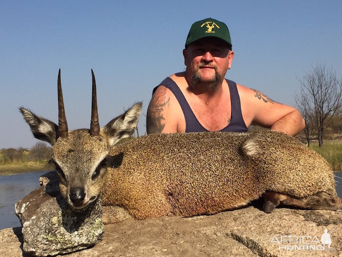 Hunting Klipspringer Zimbabwe