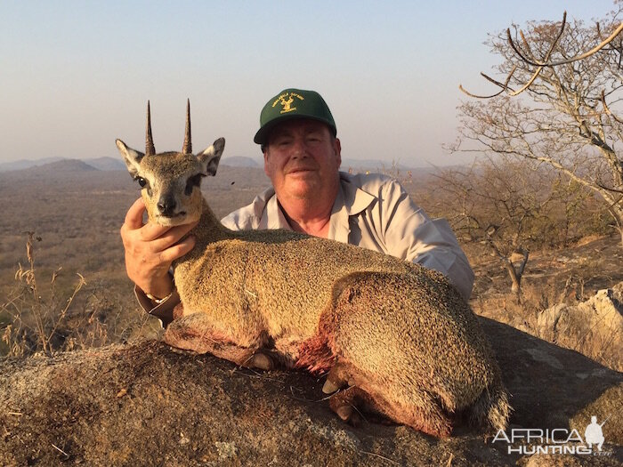 Hunting Klipspringer Zimbabwe