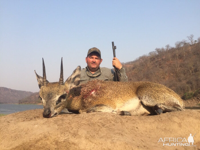 Hunting Klipspringer Zimbabwe