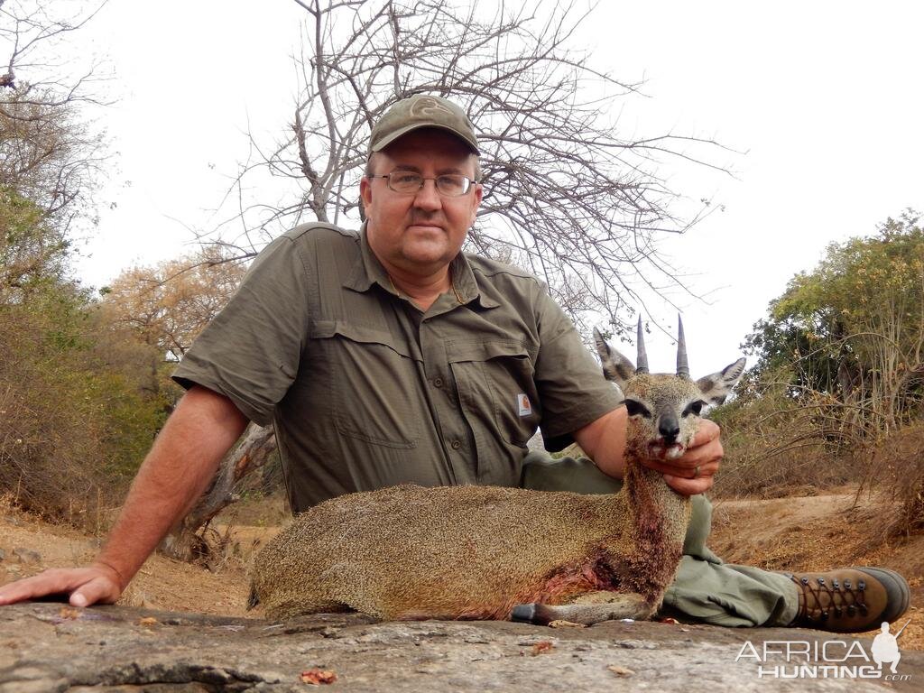 Hunting Klipspringer Zimbabwe