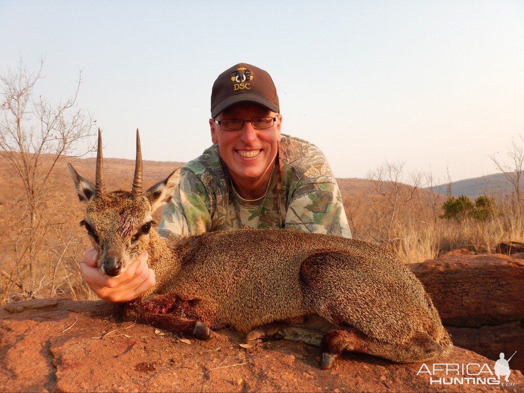 Hunting Klipspringer