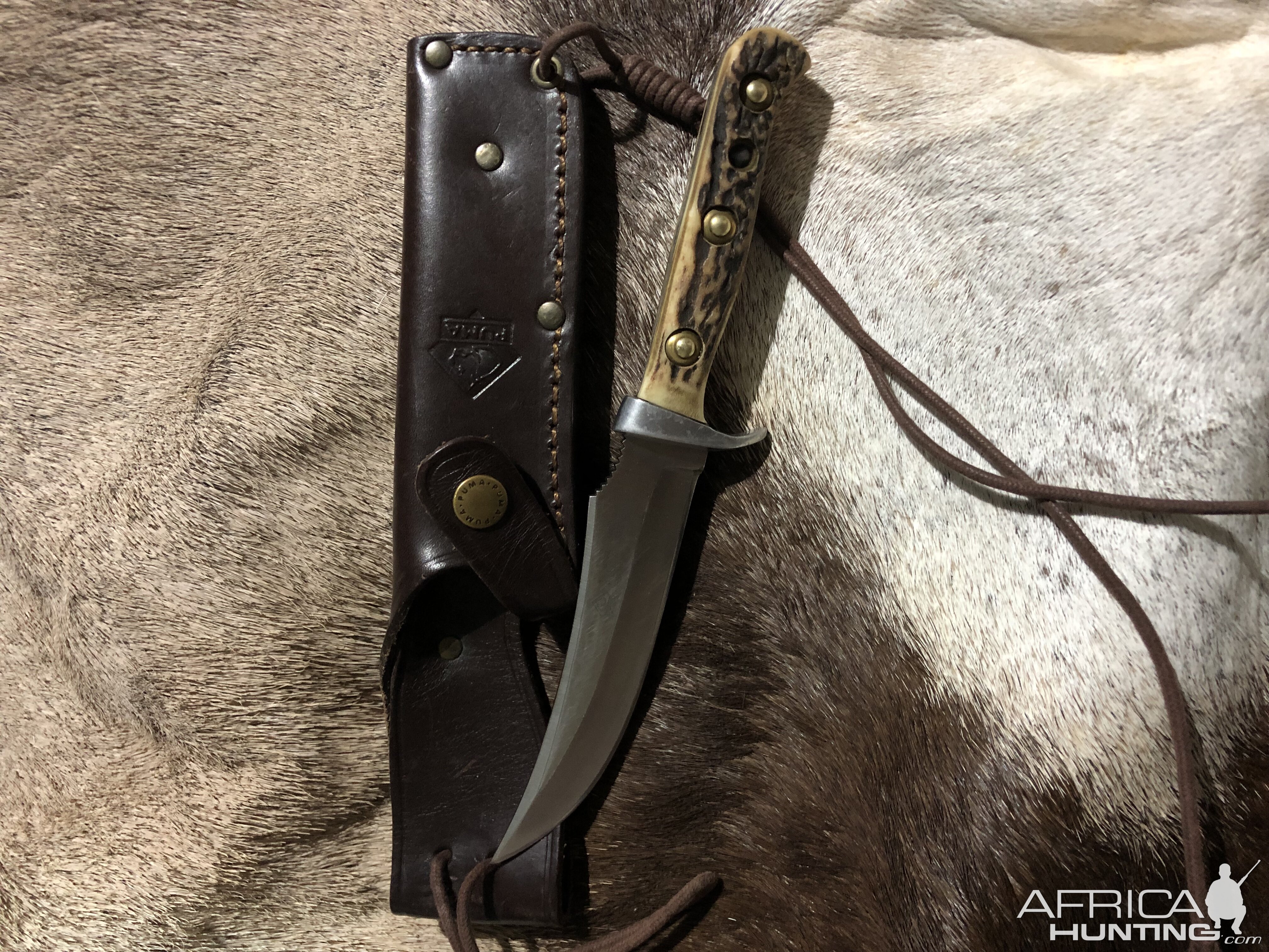 Hunting Knife