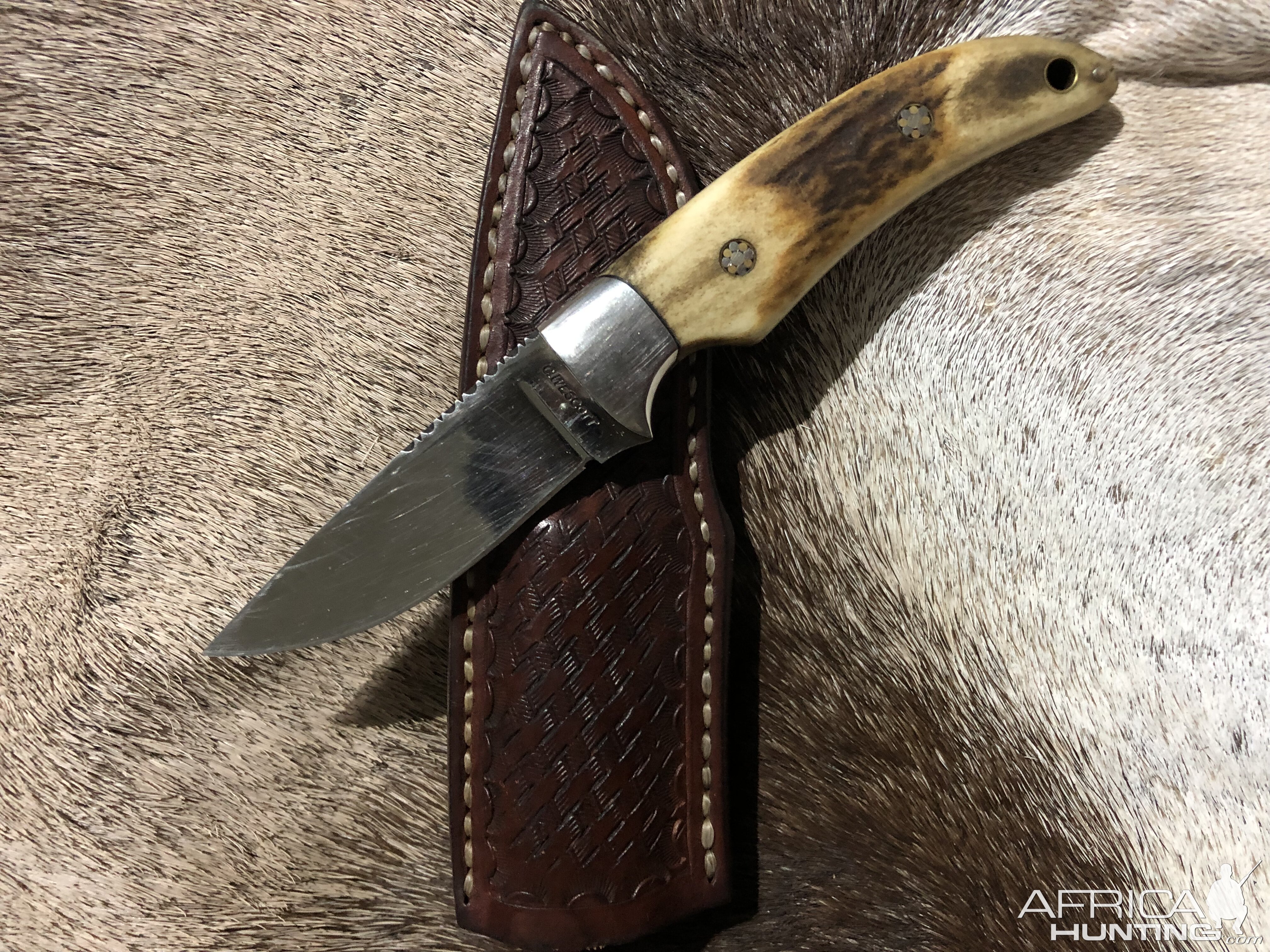 Hunting Knife