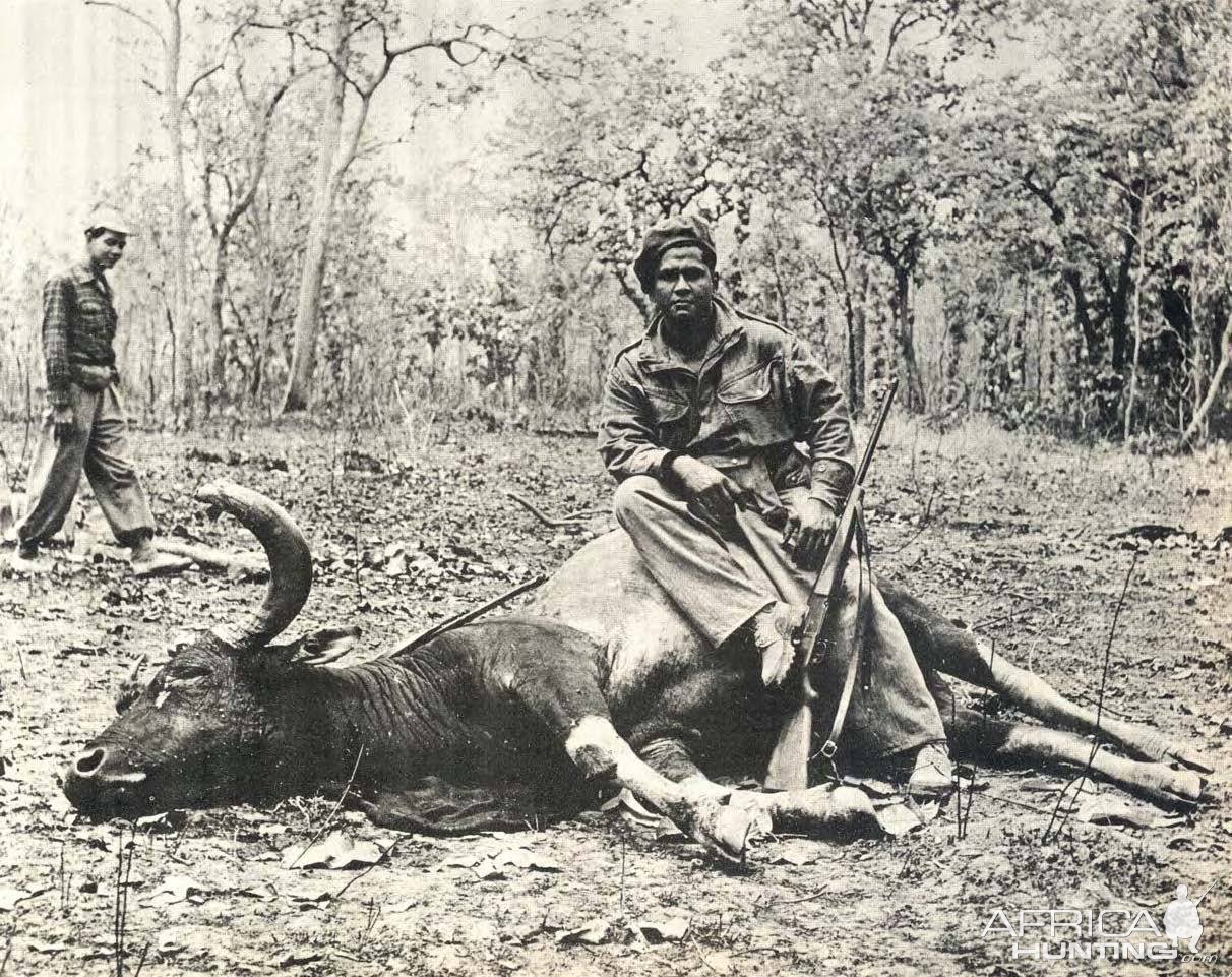 Hunting Kouprey Indochina