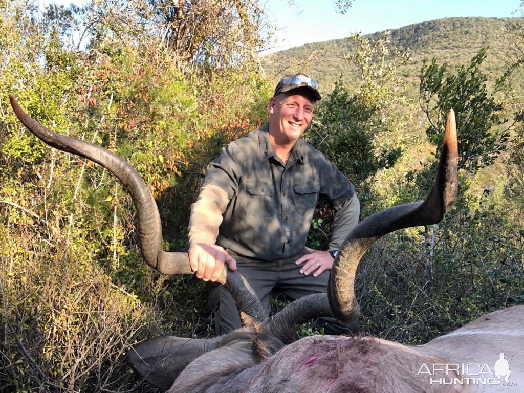 Hunting Kudu Eastern Cape South Africa