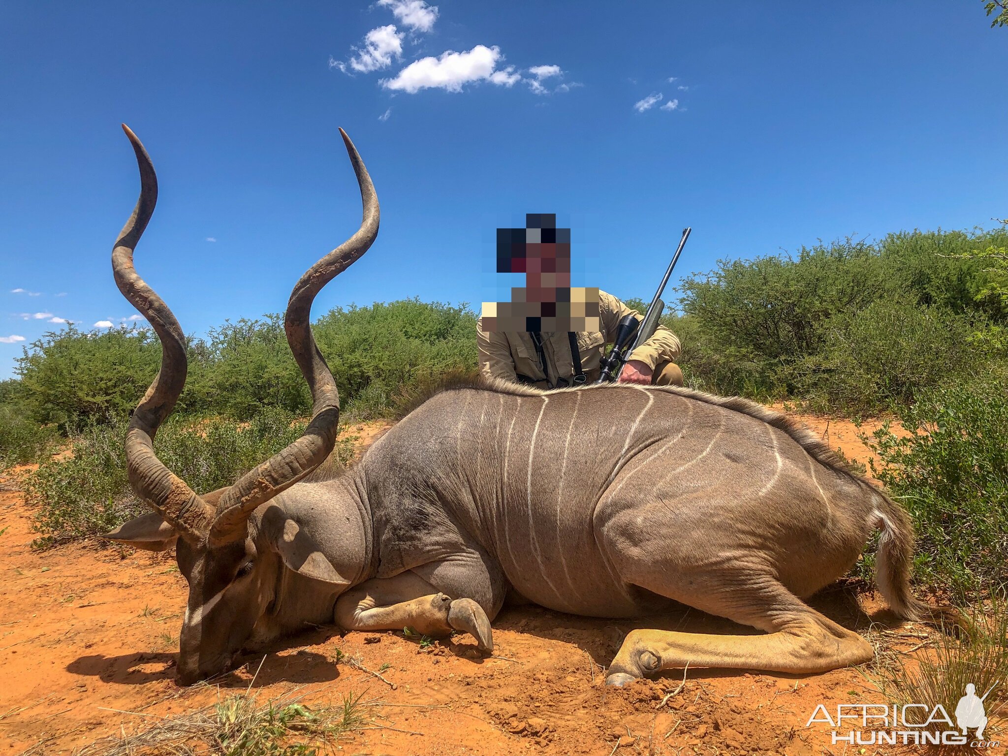 Hunting Kudu in Namibia