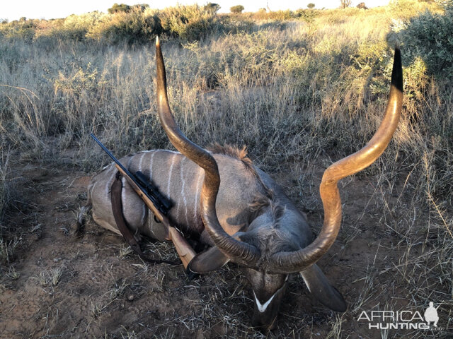 Hunting Kudu in South Africa