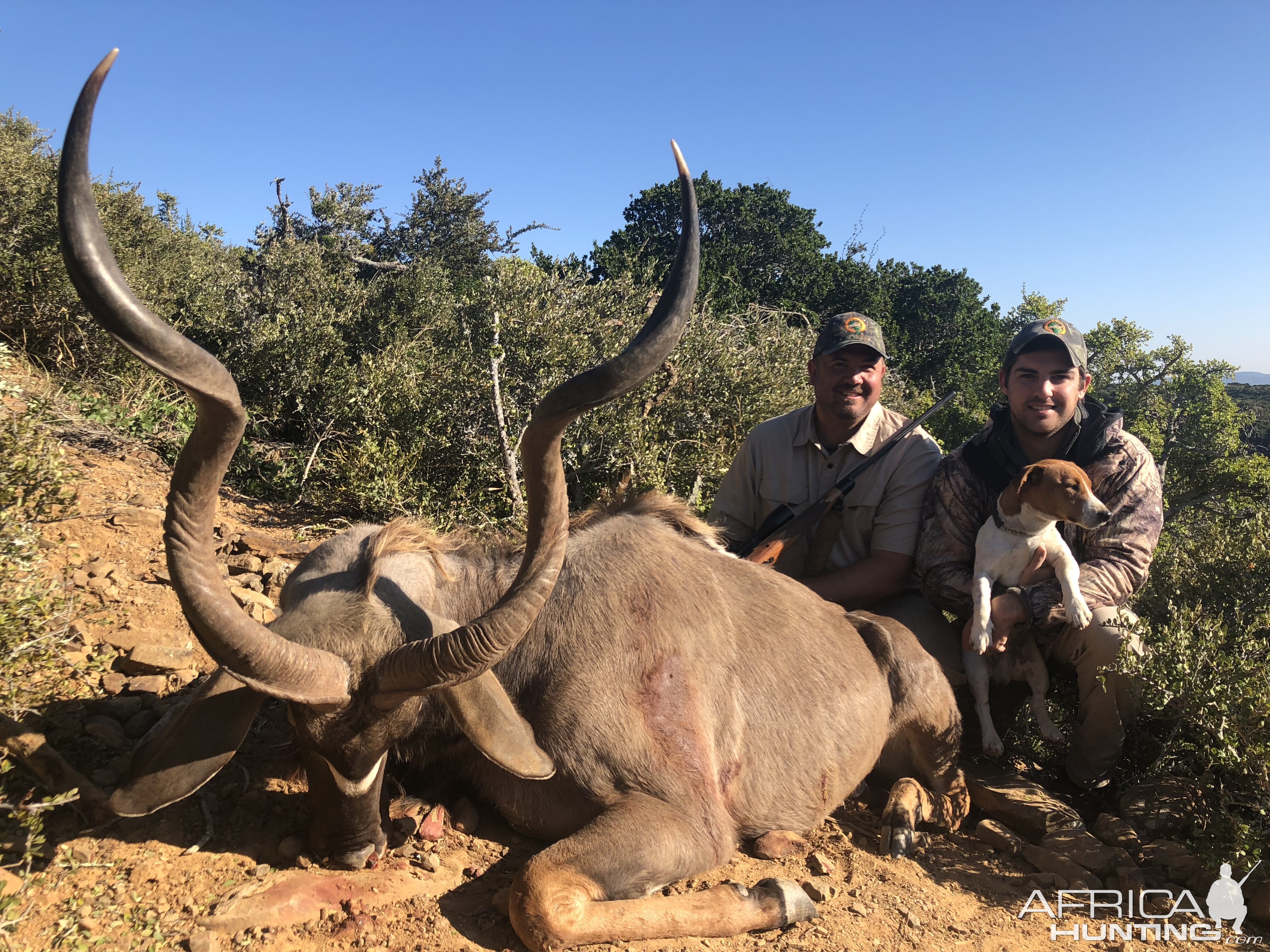 Hunting Kudu in South Africa