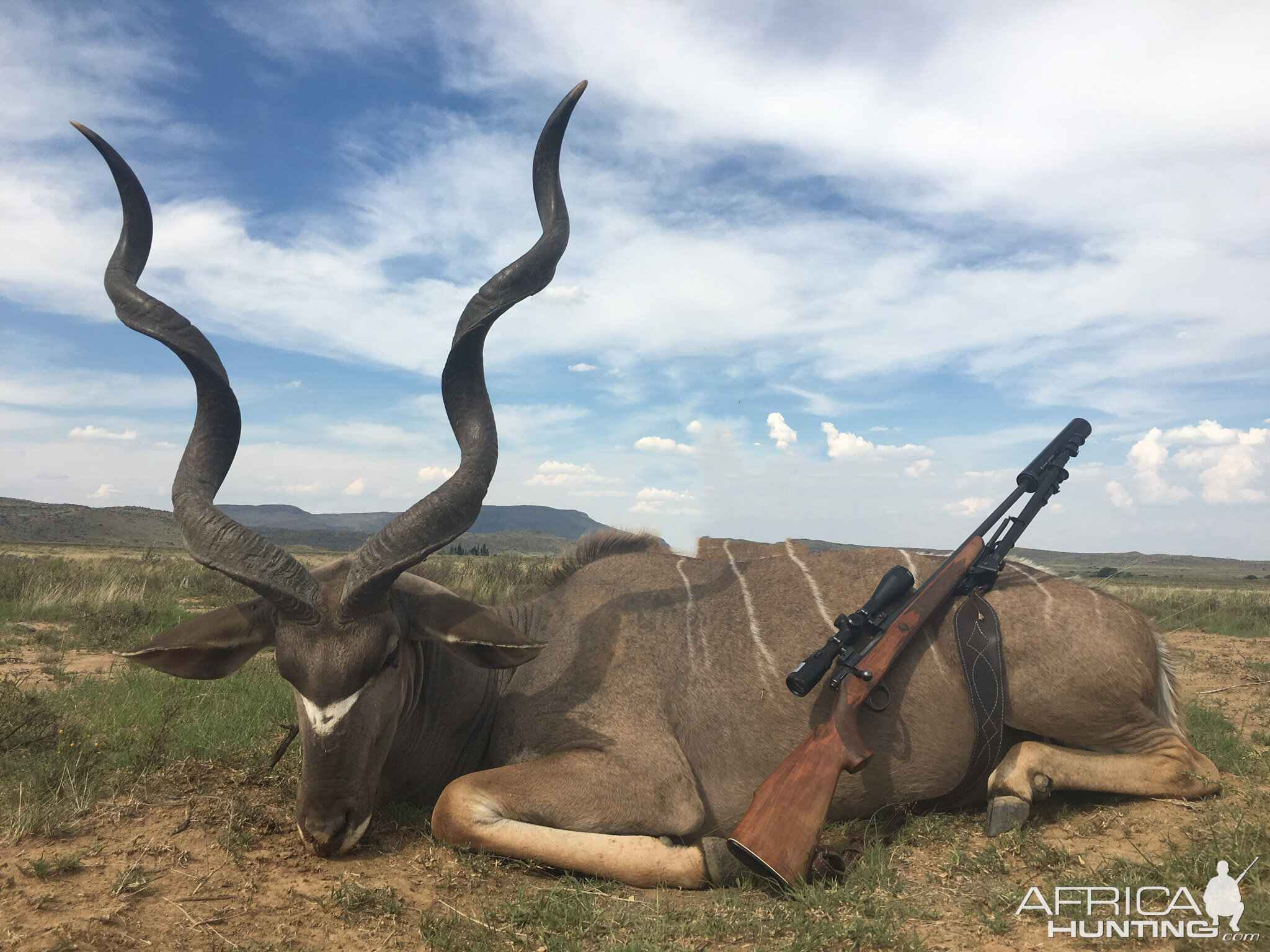 Hunting Kudu in South Africa