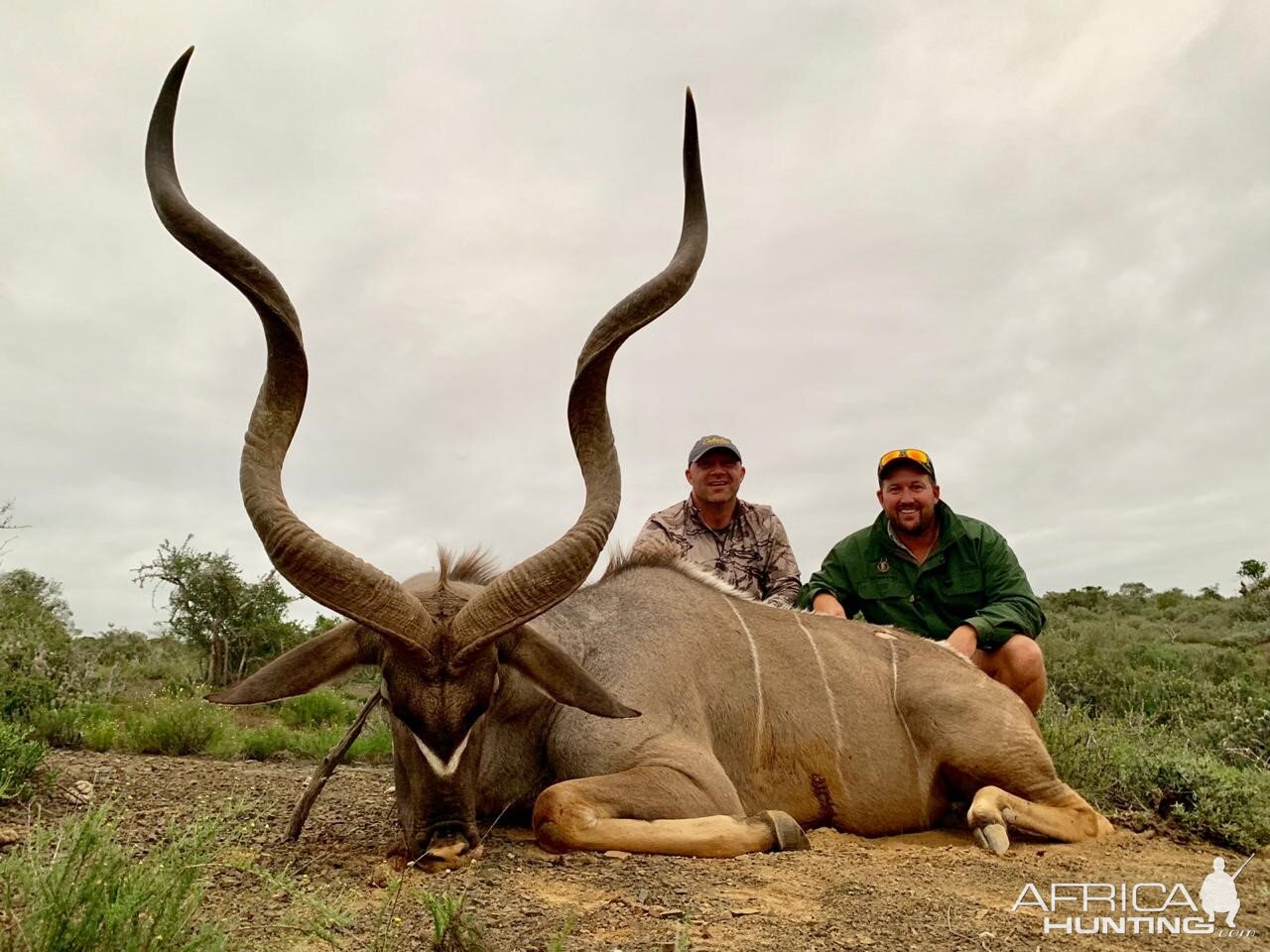 Hunting Kudu in South Africa