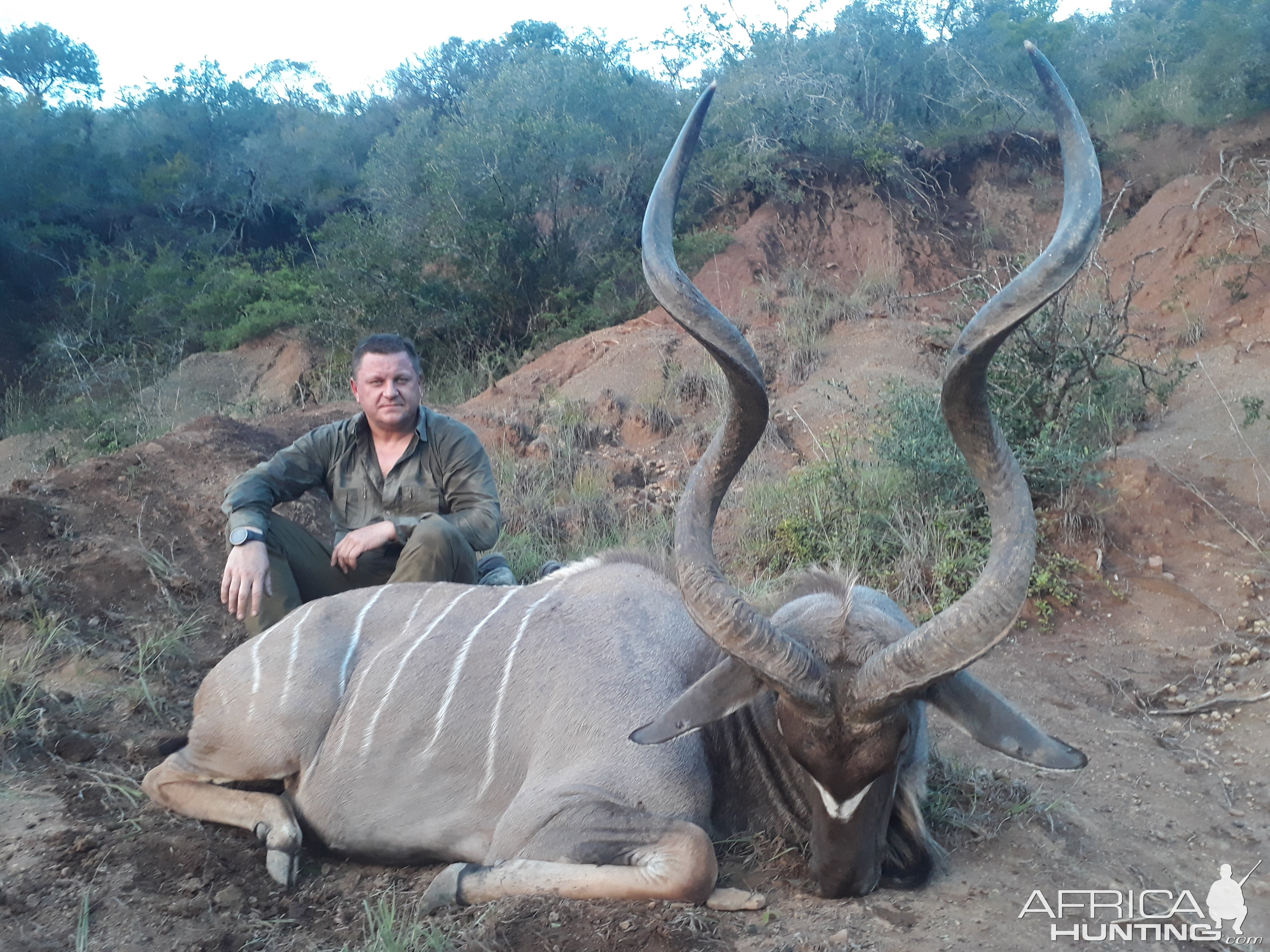 Hunting Kudu in South Africa