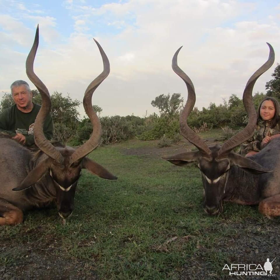 Hunting Kudu in South Africa