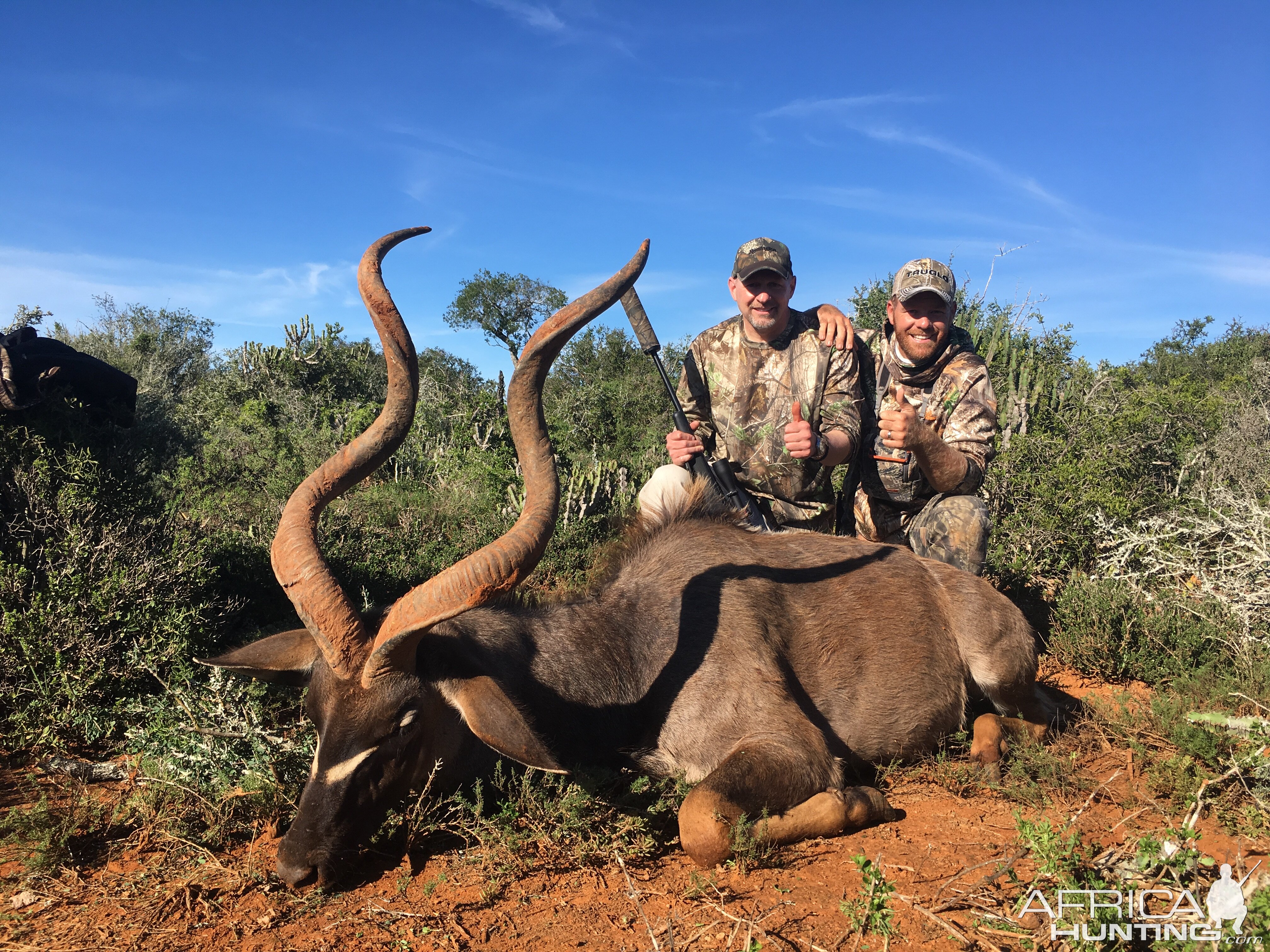 Hunting Kudu in South Africa