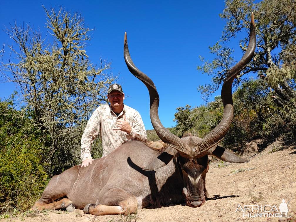 Hunting Kudu in South Africa