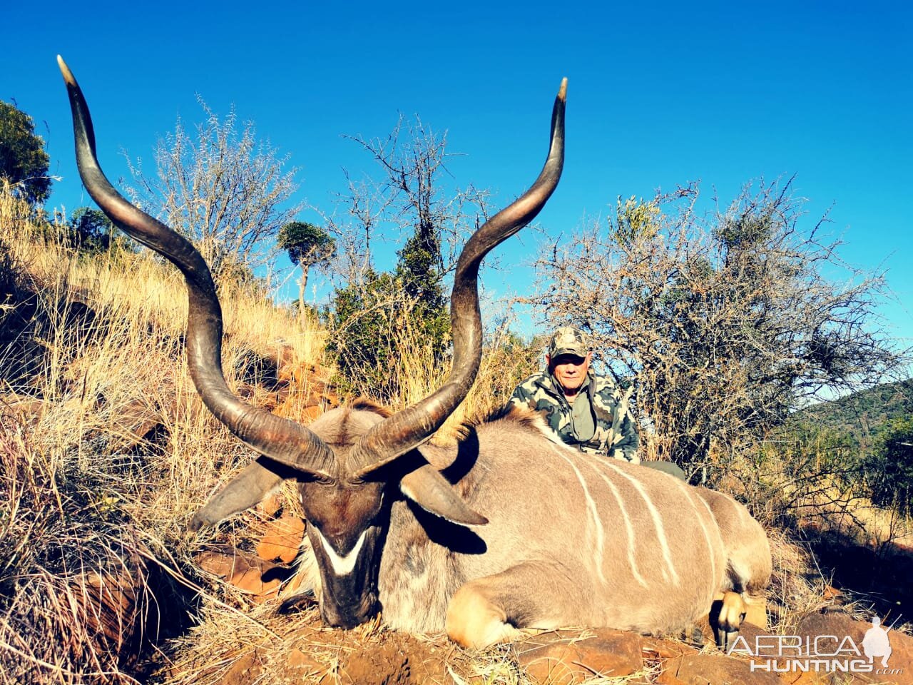 Hunting Kudu in South Africa