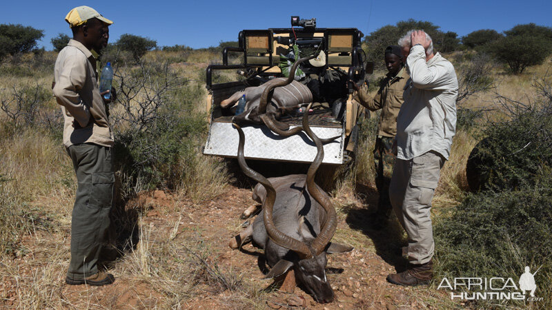 Hunting Kudu Nambia