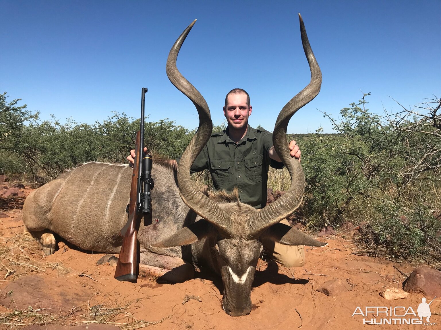 Hunting Kudu Nambia