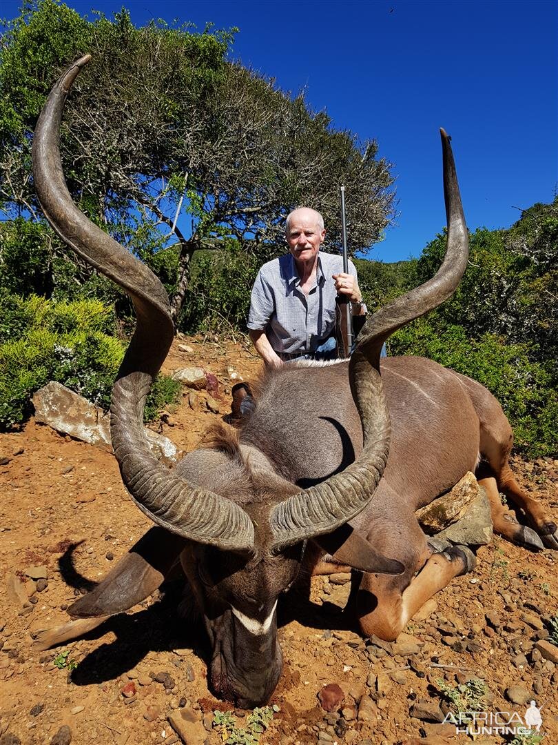 Hunting Kudu South Africa