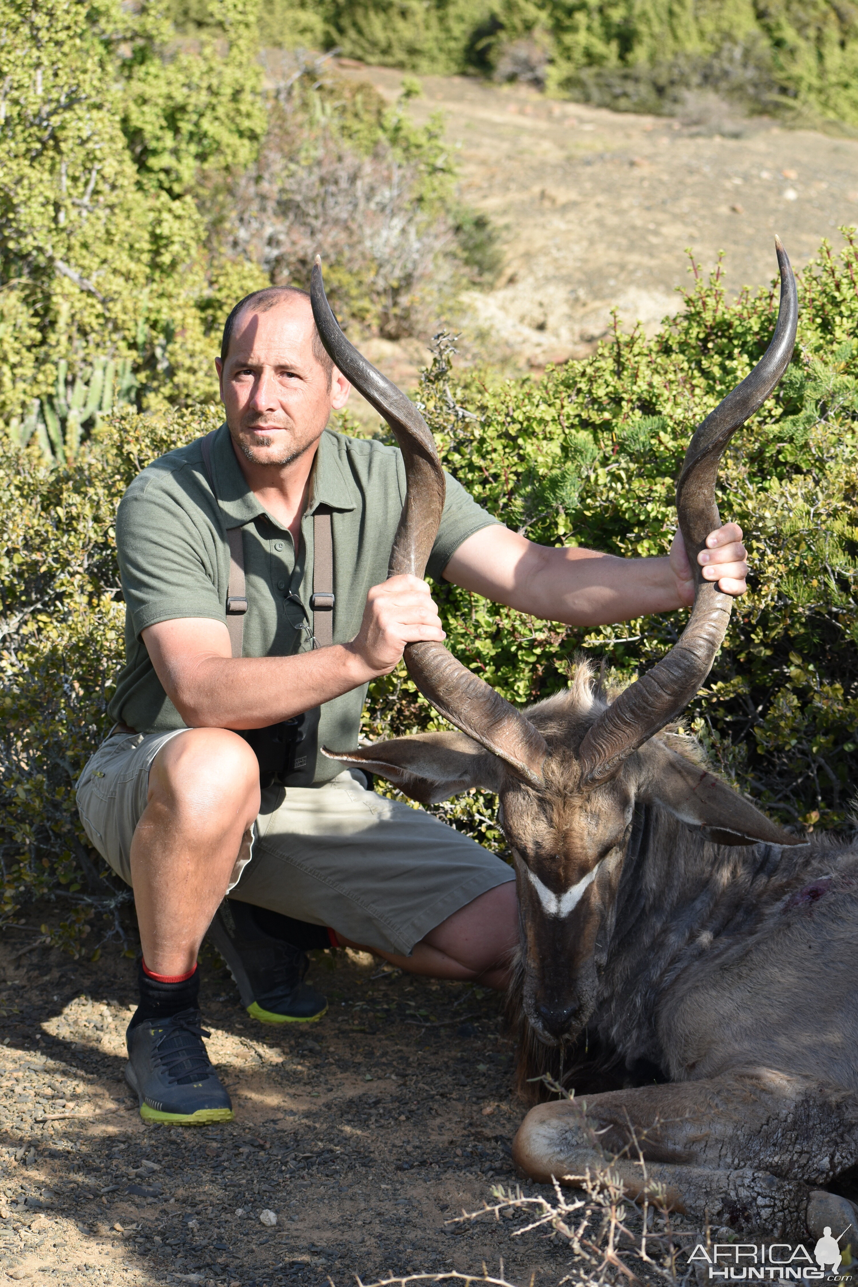 Hunting Kudu South Africa