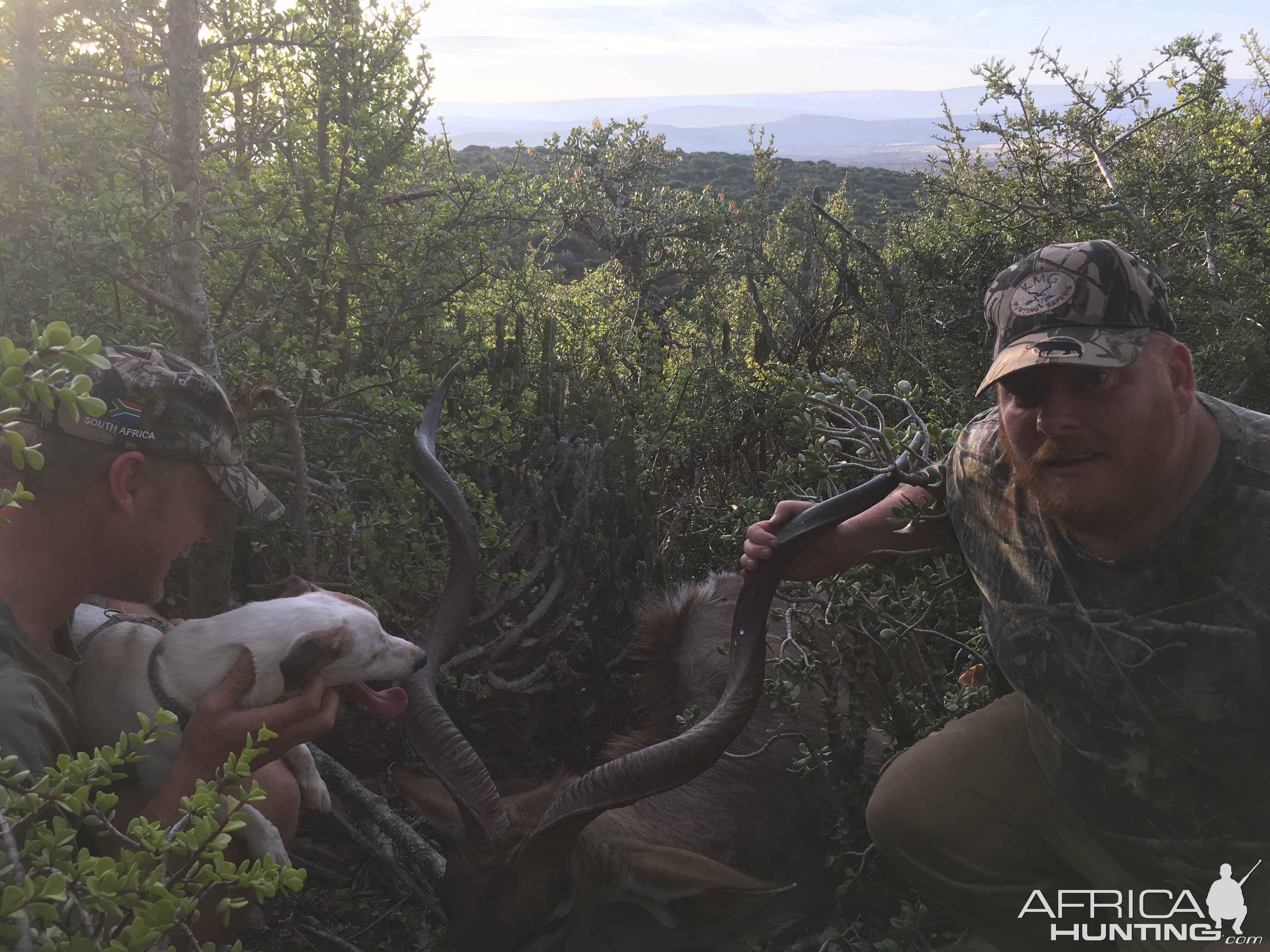 Hunting Kudu South Africa