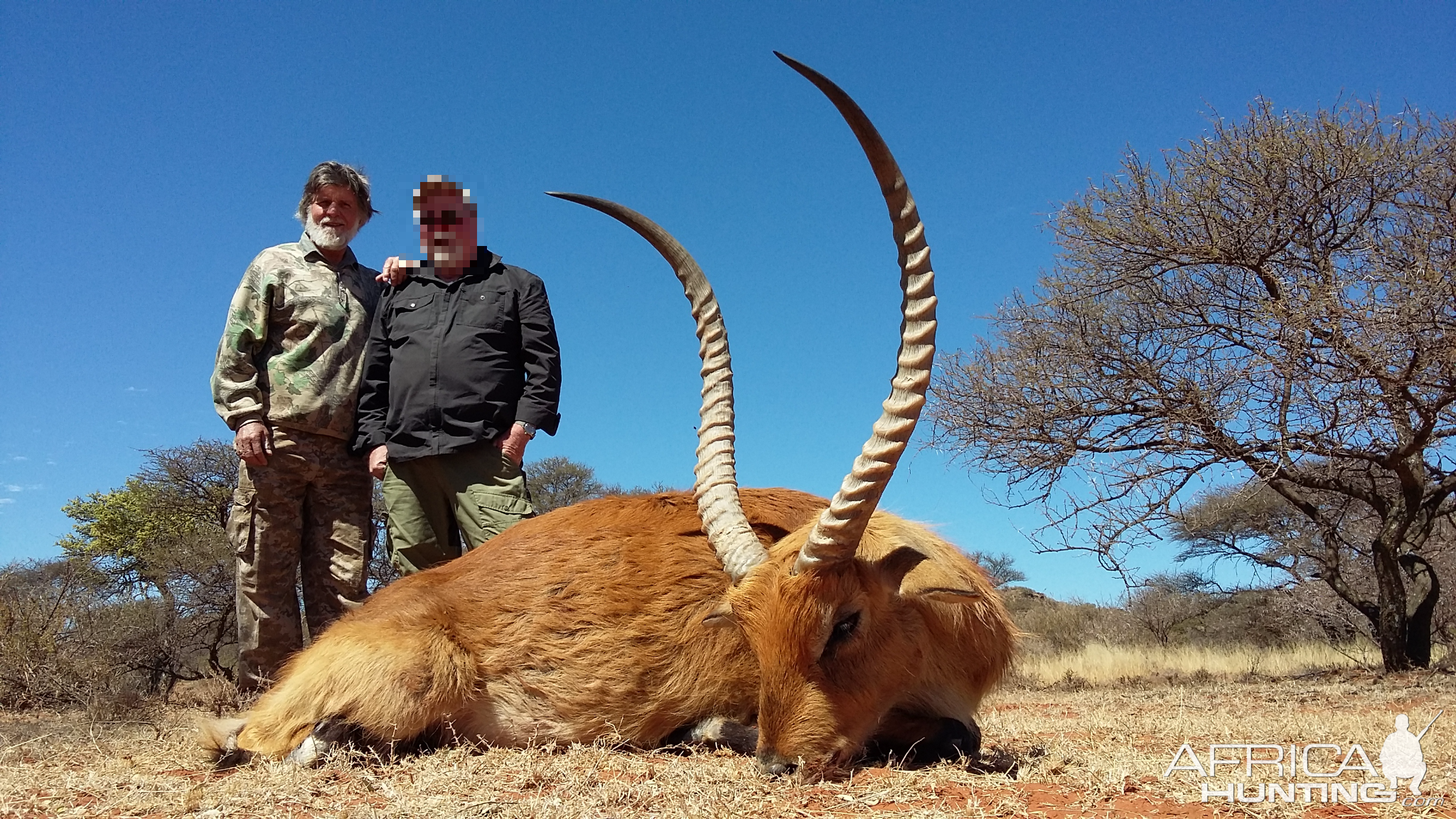 Hunting Lechwe