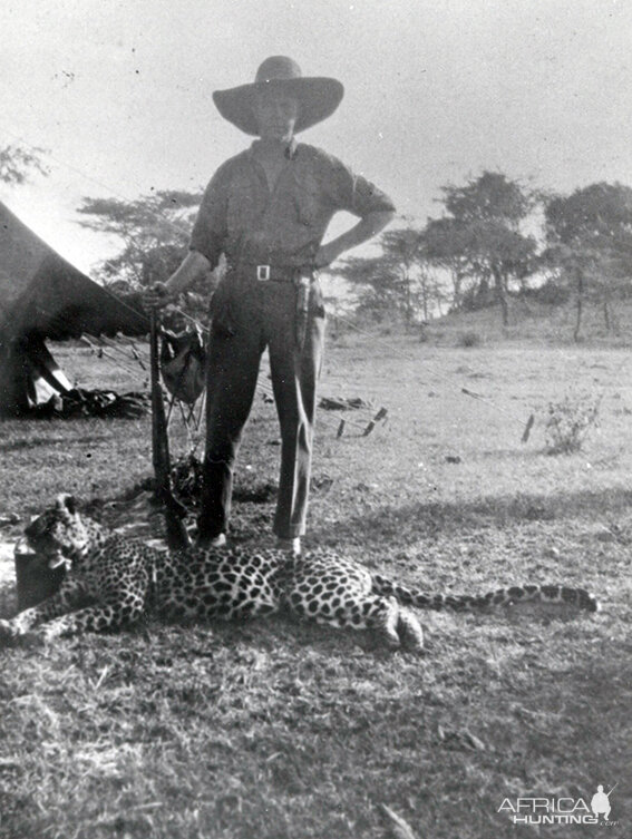 Hunting Leopard by Bror von Blixen-Finecke