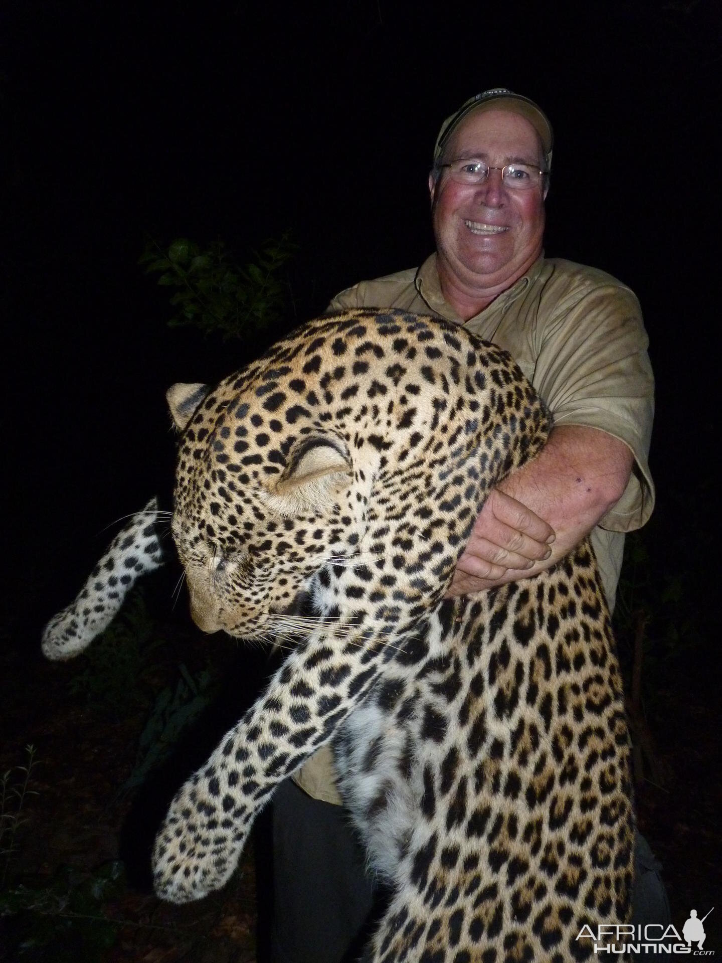 Hunting Leopard  in CAR