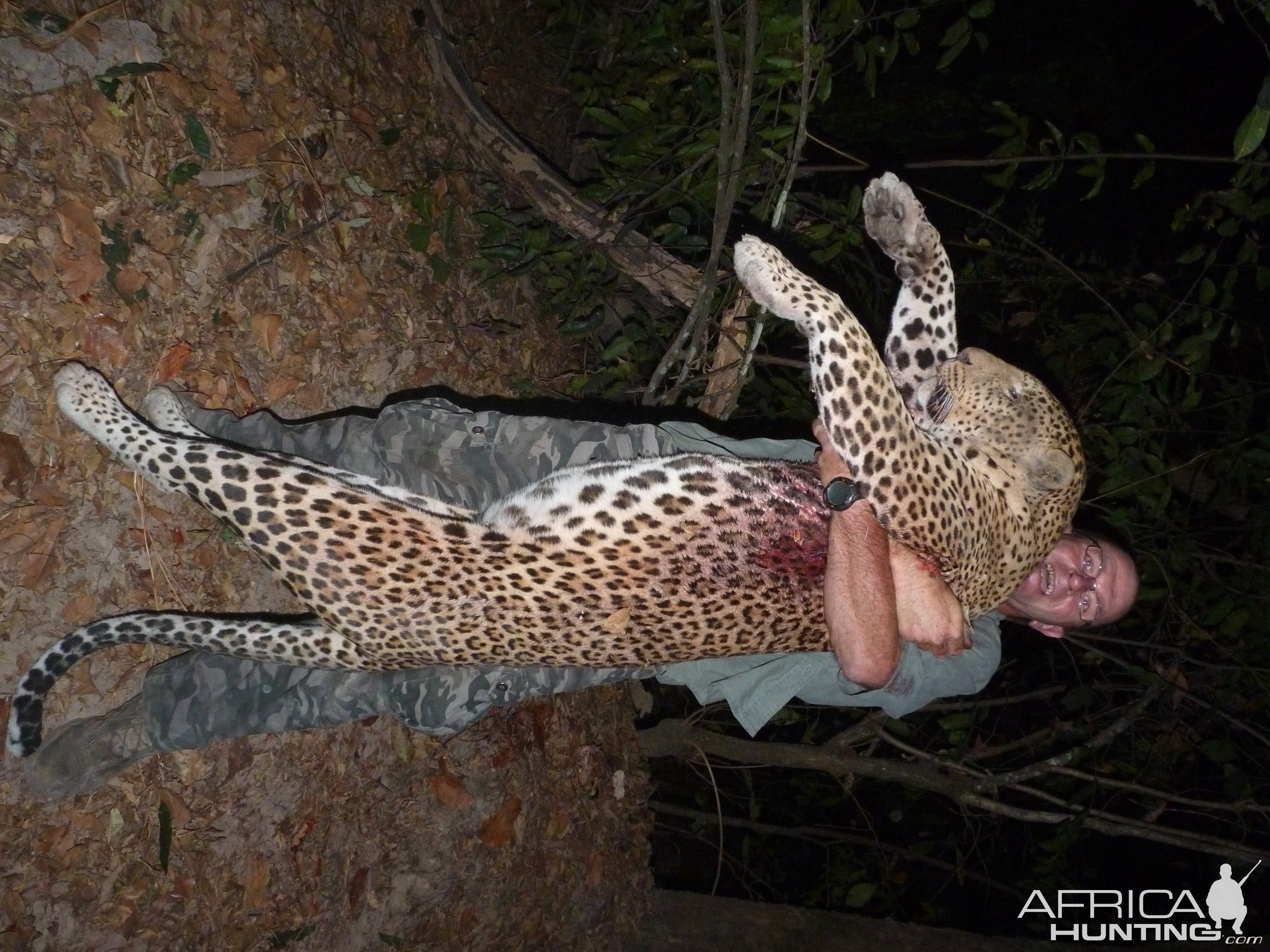 Hunting Leopard in Central African Republic