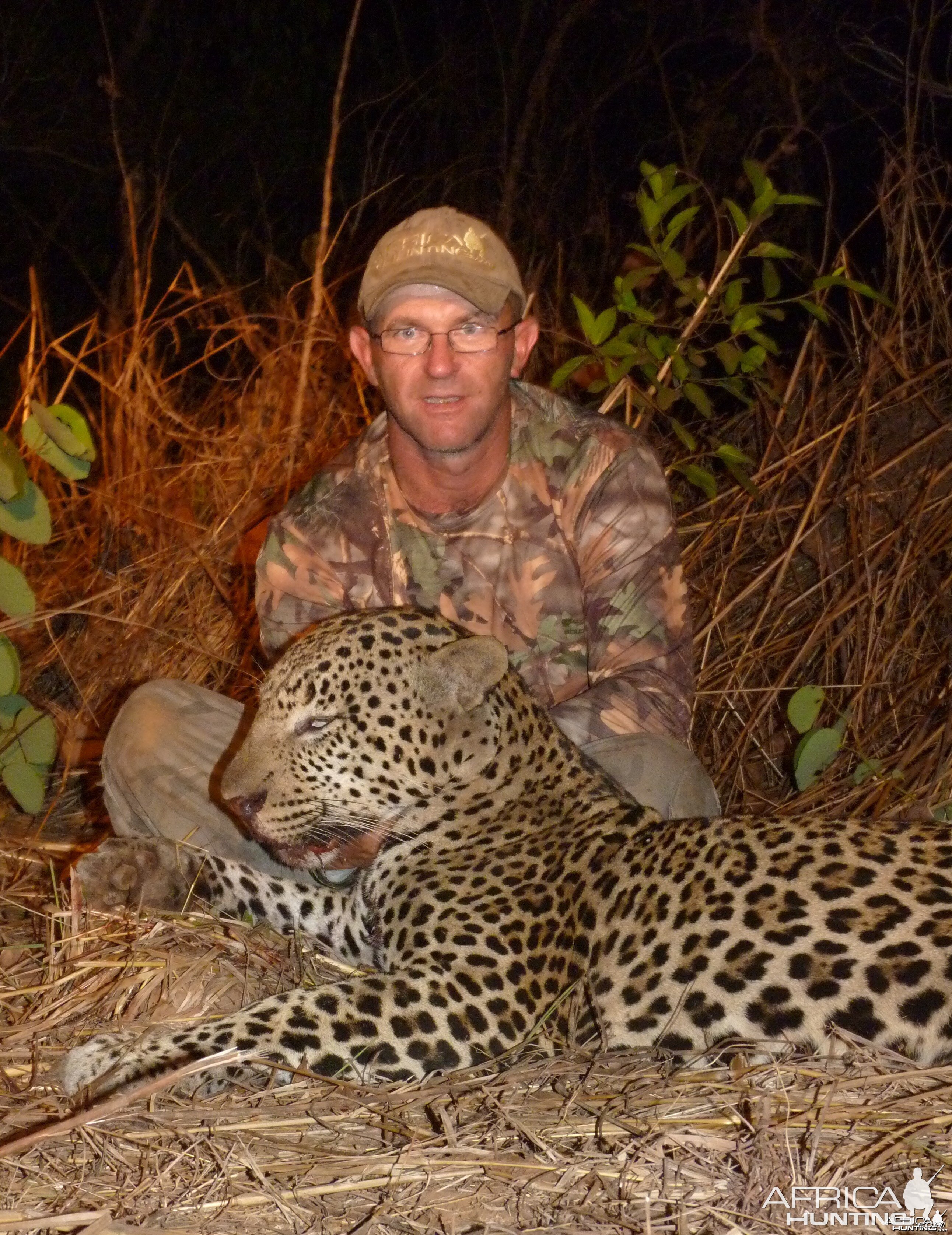 Hunting Leopard in Central African Republic