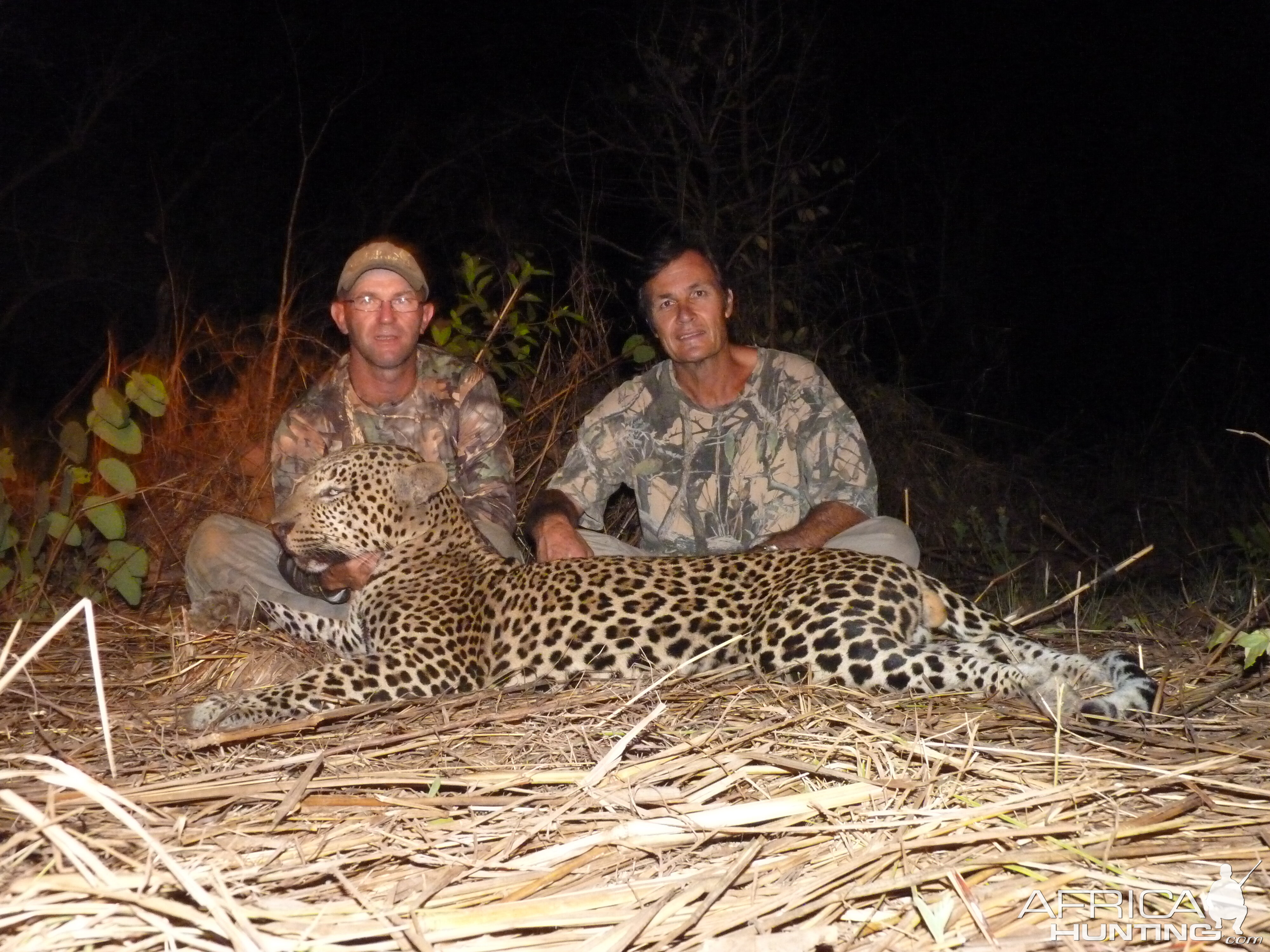 Hunting Leopard in Central African Republic