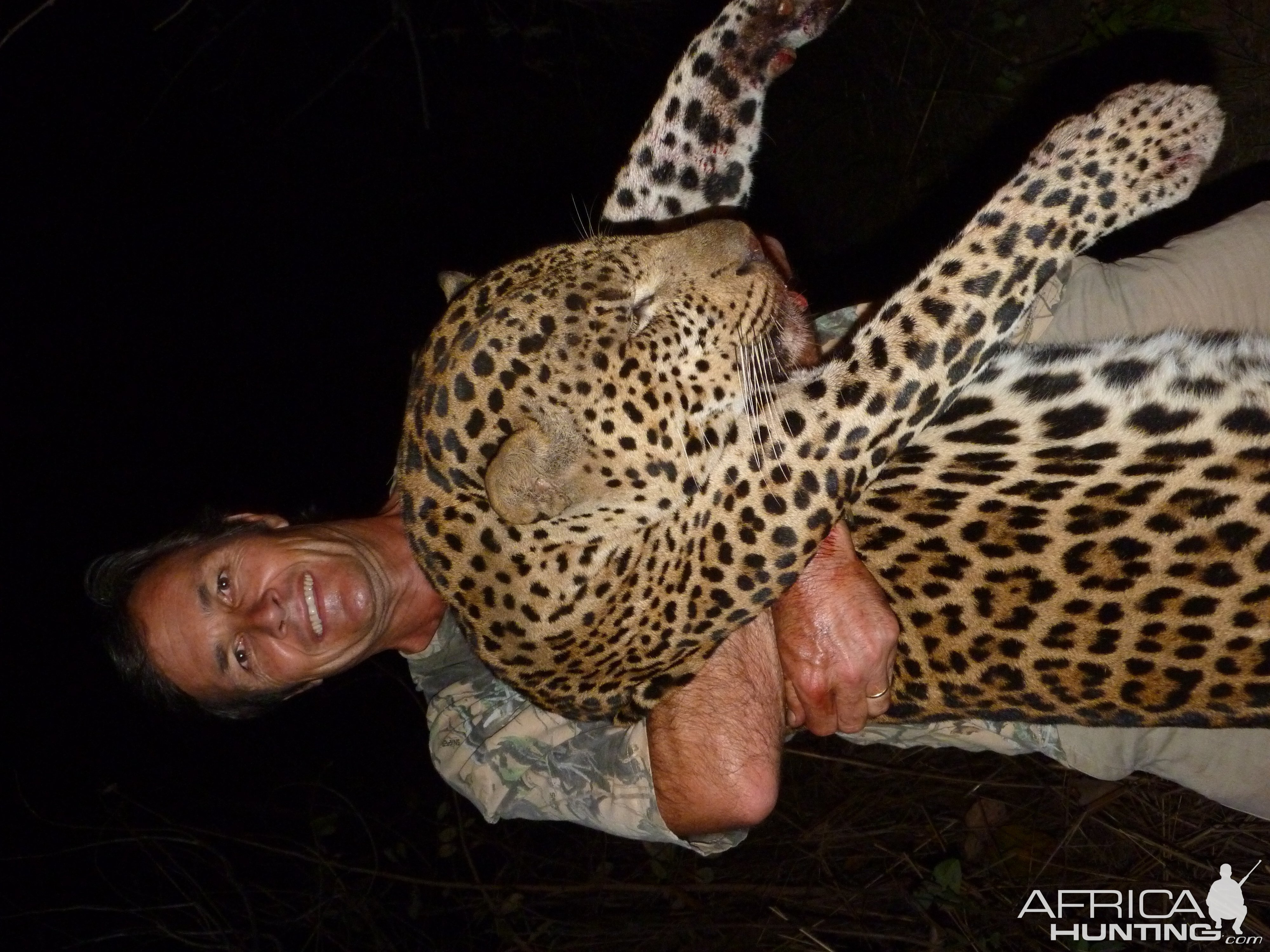 Hunting Leopard in Central African Republic