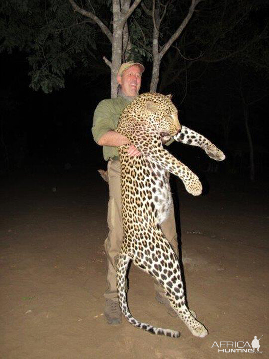 Hunting Leopard in Mozambique