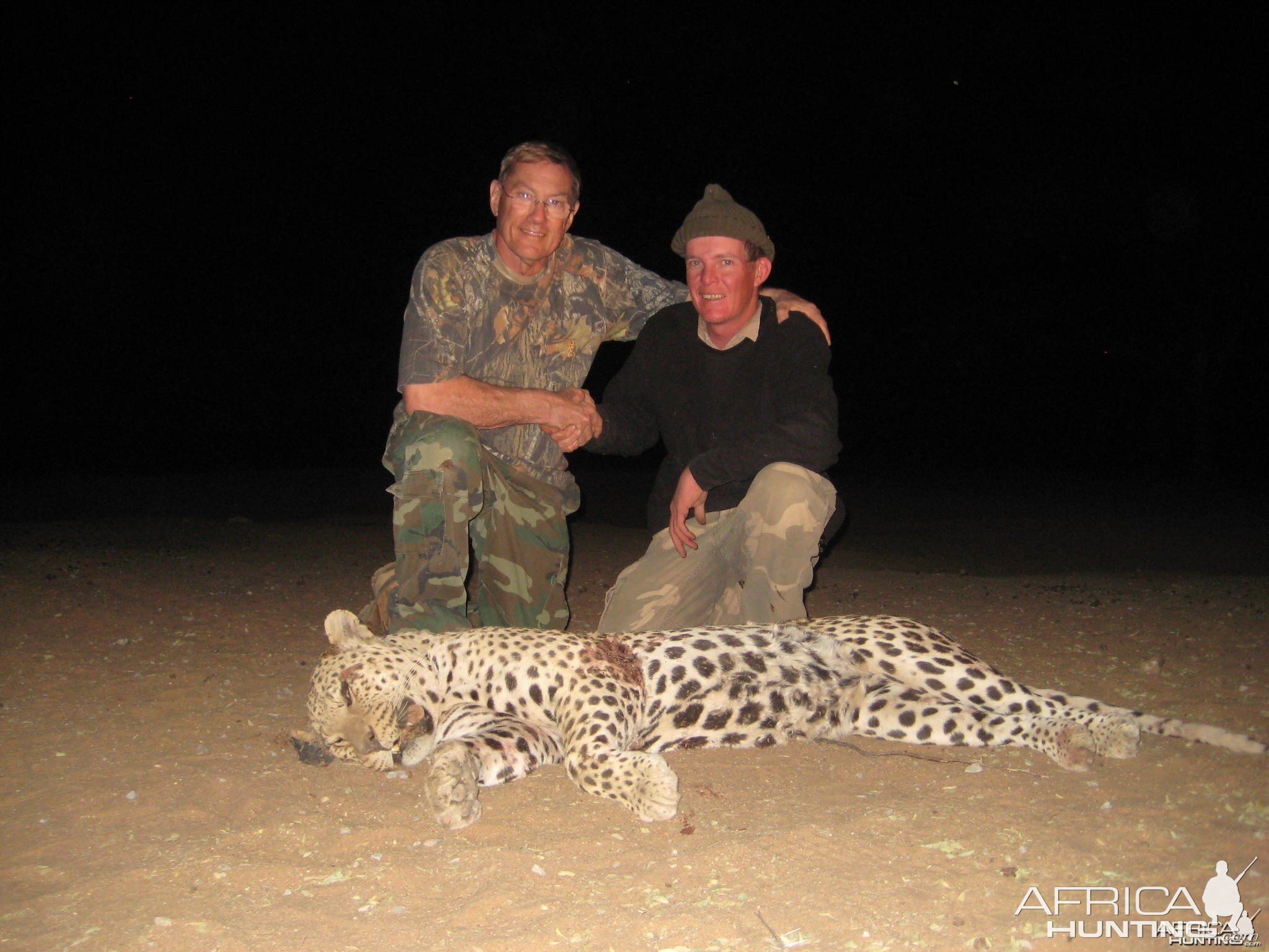 Hunting Leopard in Namibia