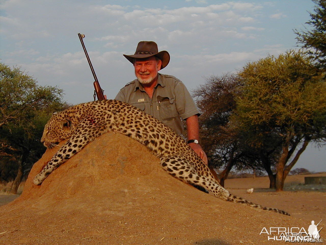 Hunting Leopard in Namibia