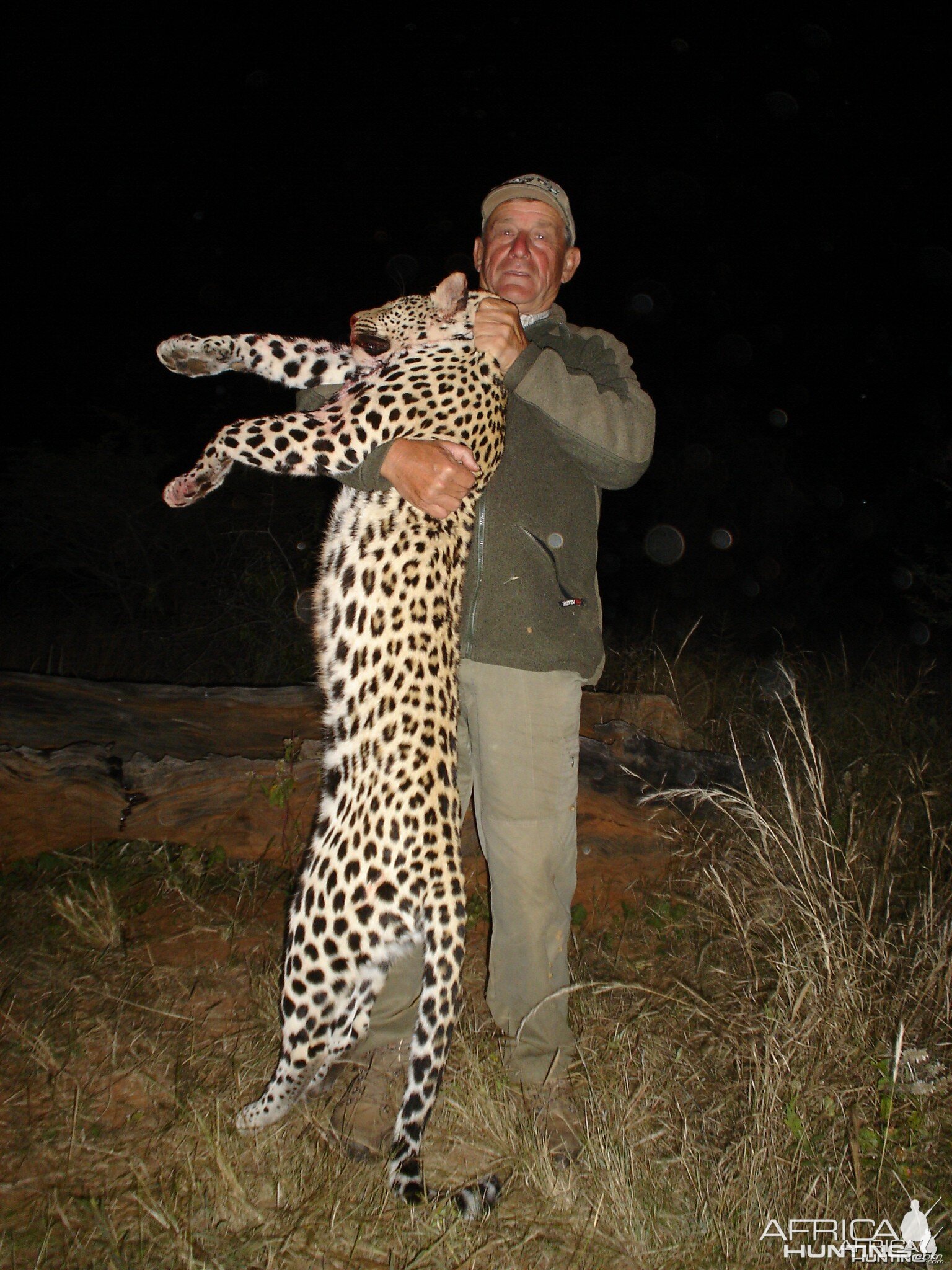 Hunting Leopard in Namibia