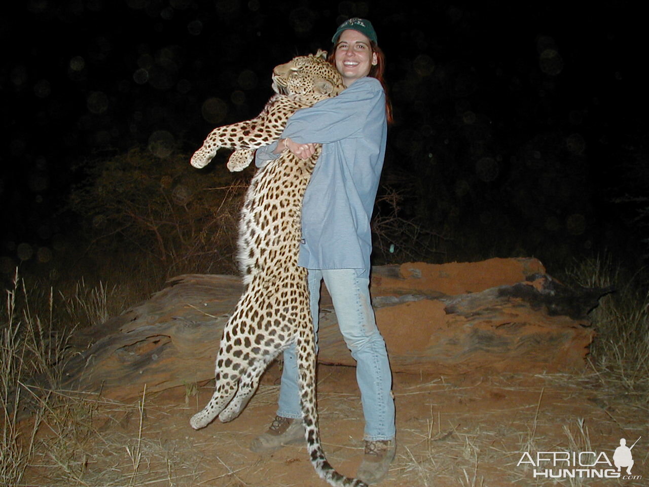 Hunting Leopard in Namibia