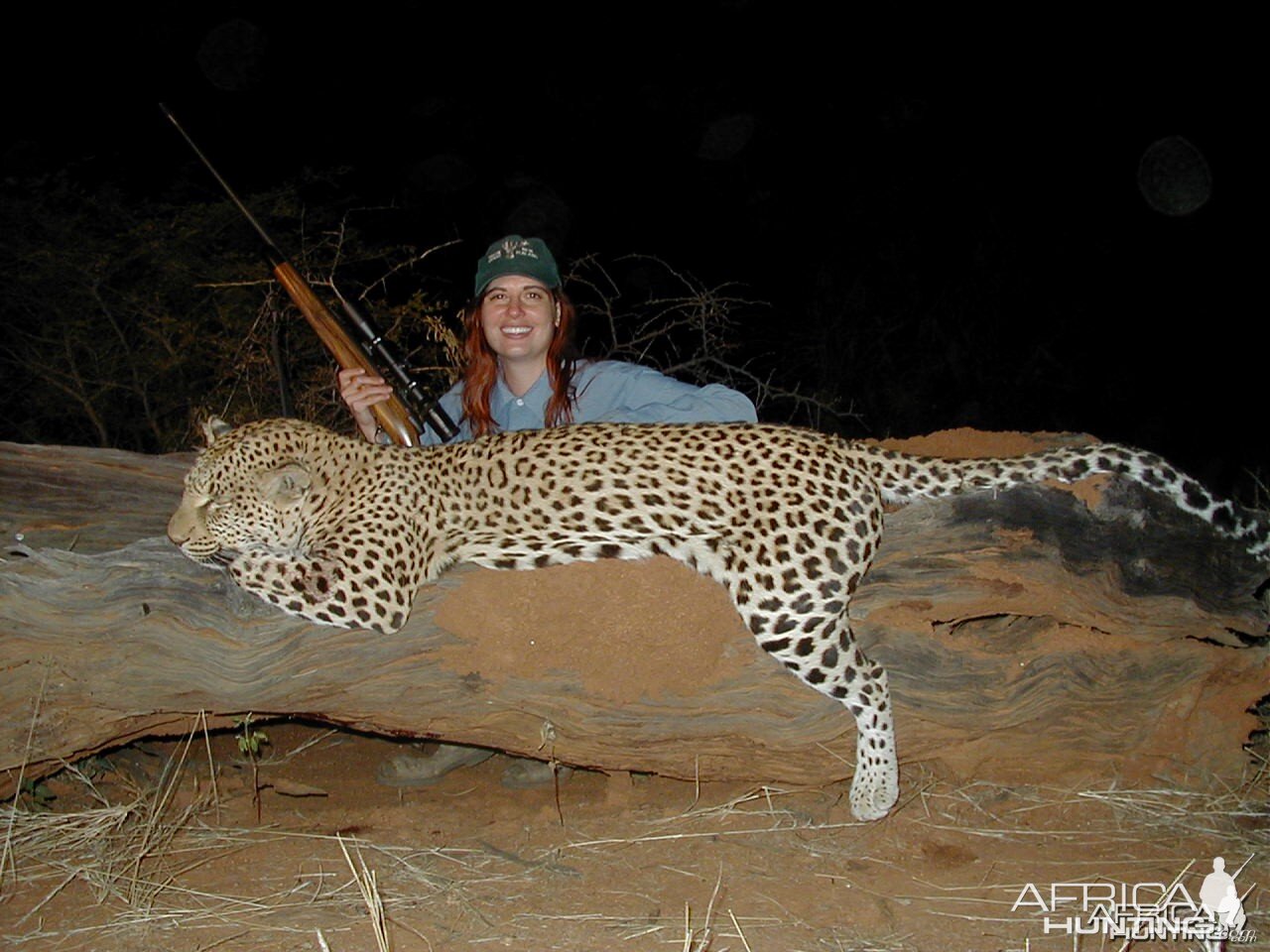 Hunting Leopard in Namibia