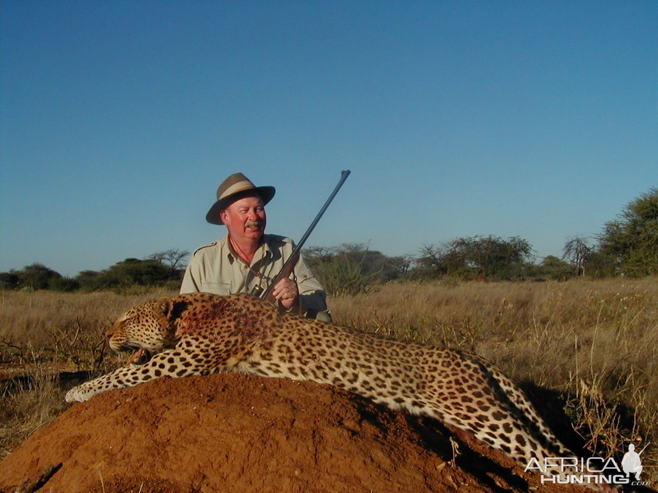 Hunting Leopard in Namibia